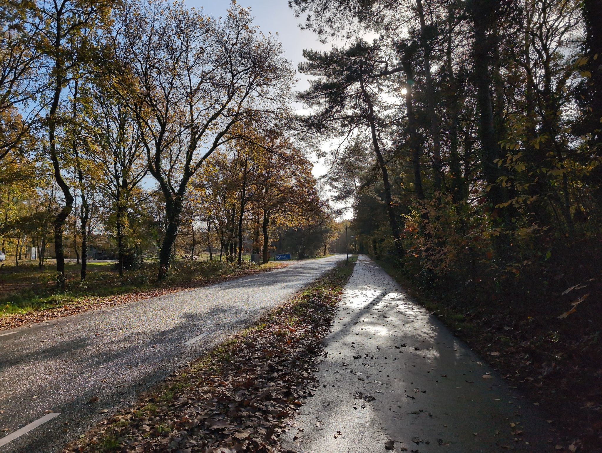 Nebenstraße mit Radweg
