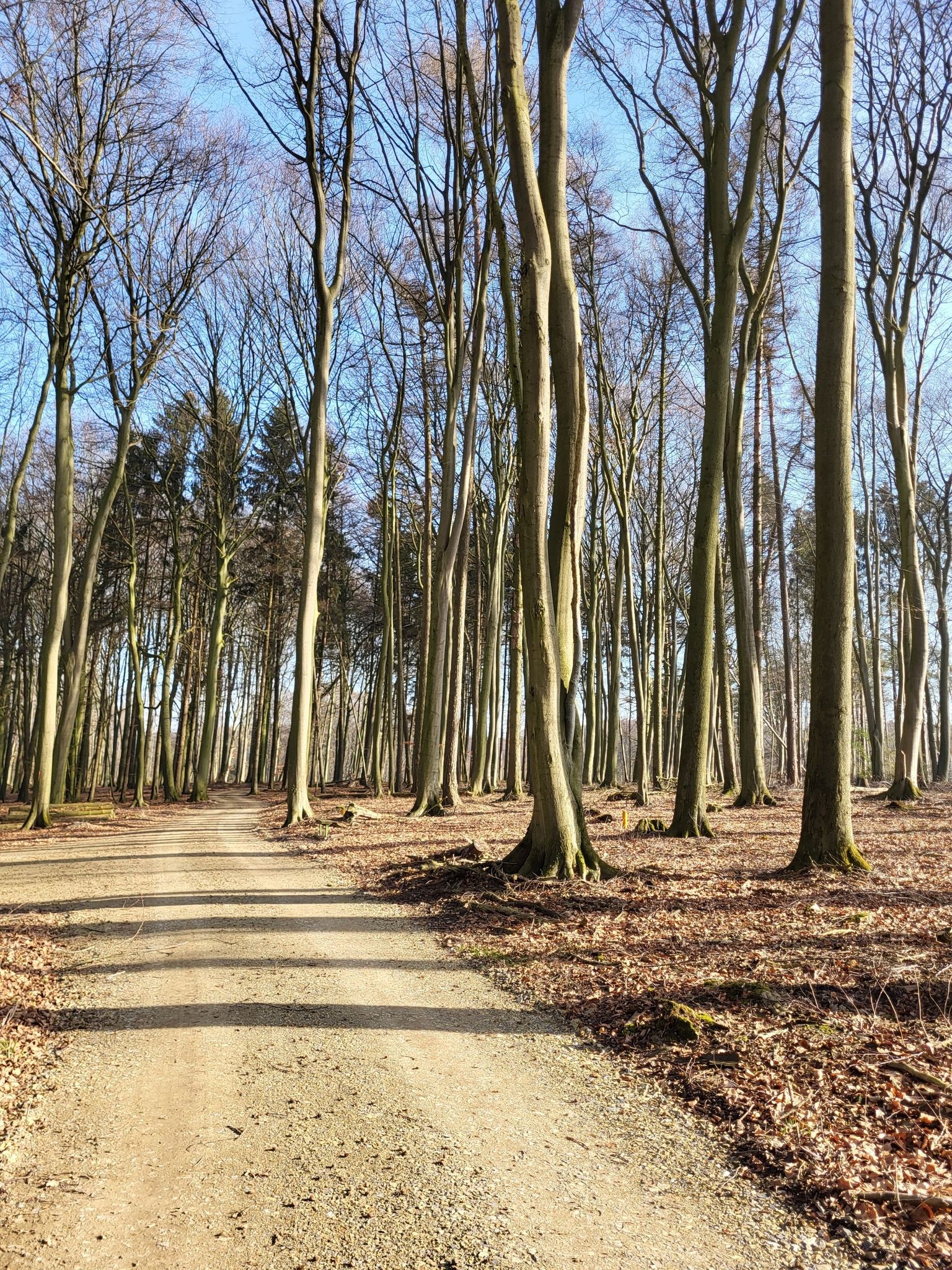 Der Weg (ist immer das Ziel)😃