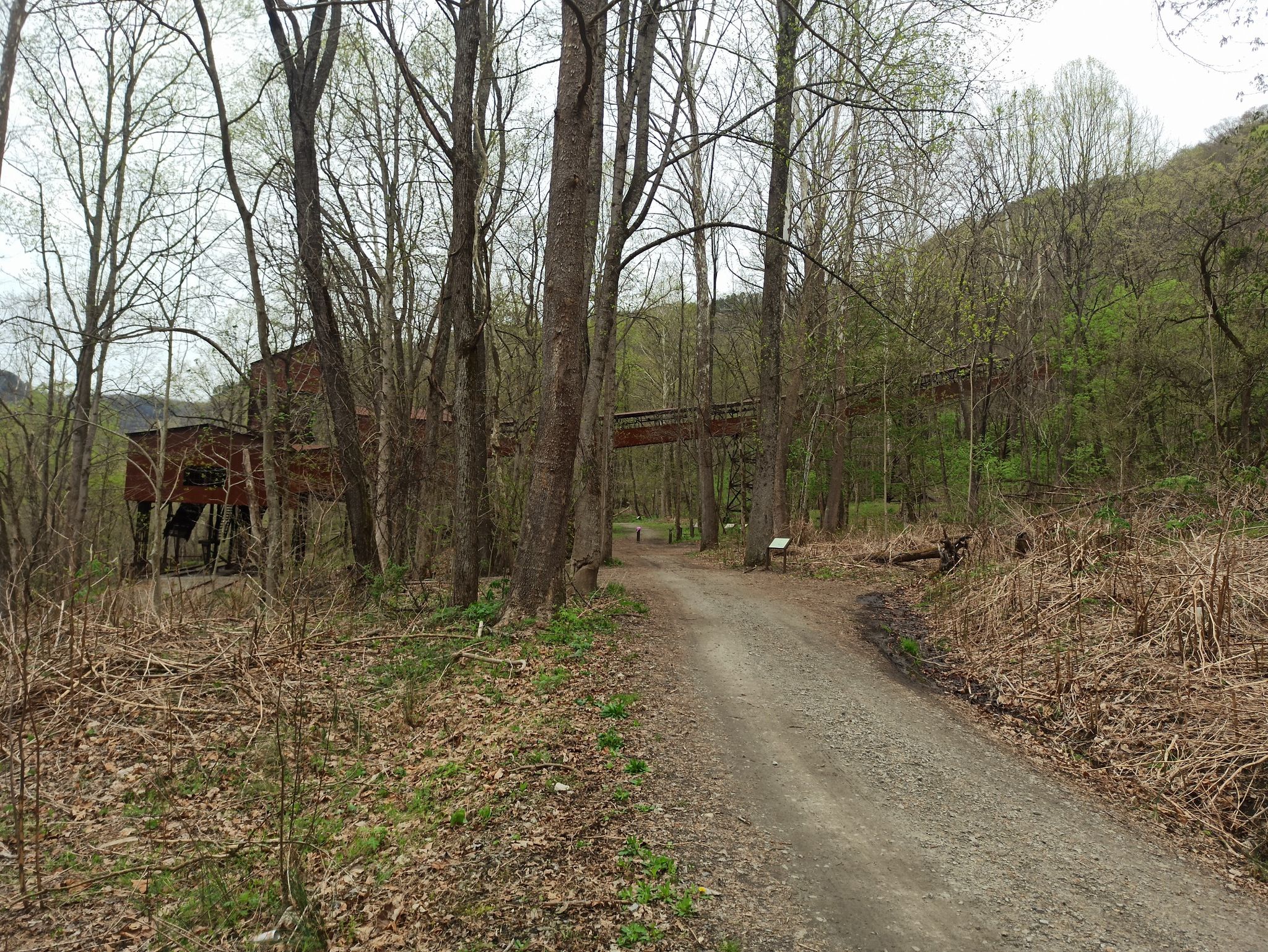 A dirt path leads through a forest towards an old industrial structure. - Tipple Trail