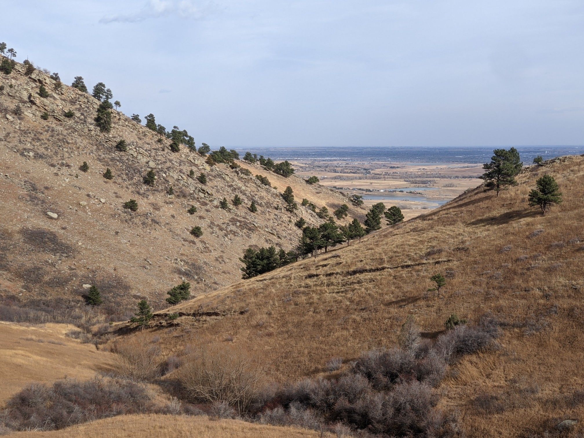 A valley with dry, grassy hillsides dotted with evergreen trees under a cloudy sky. - Ward, Lefthand Canyon, and Lee Hill loop from Pearl Street