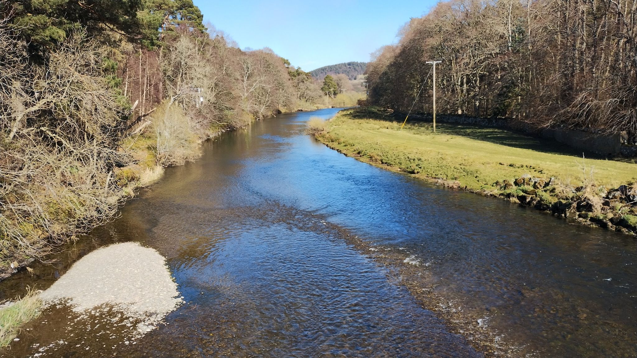 Tweed at Dawyck