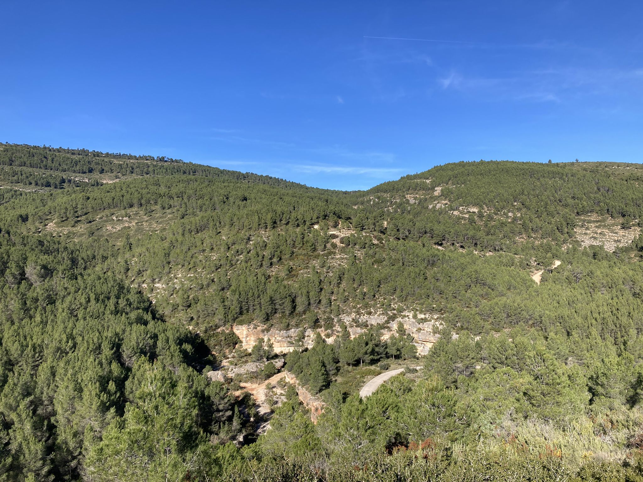 Benicaez