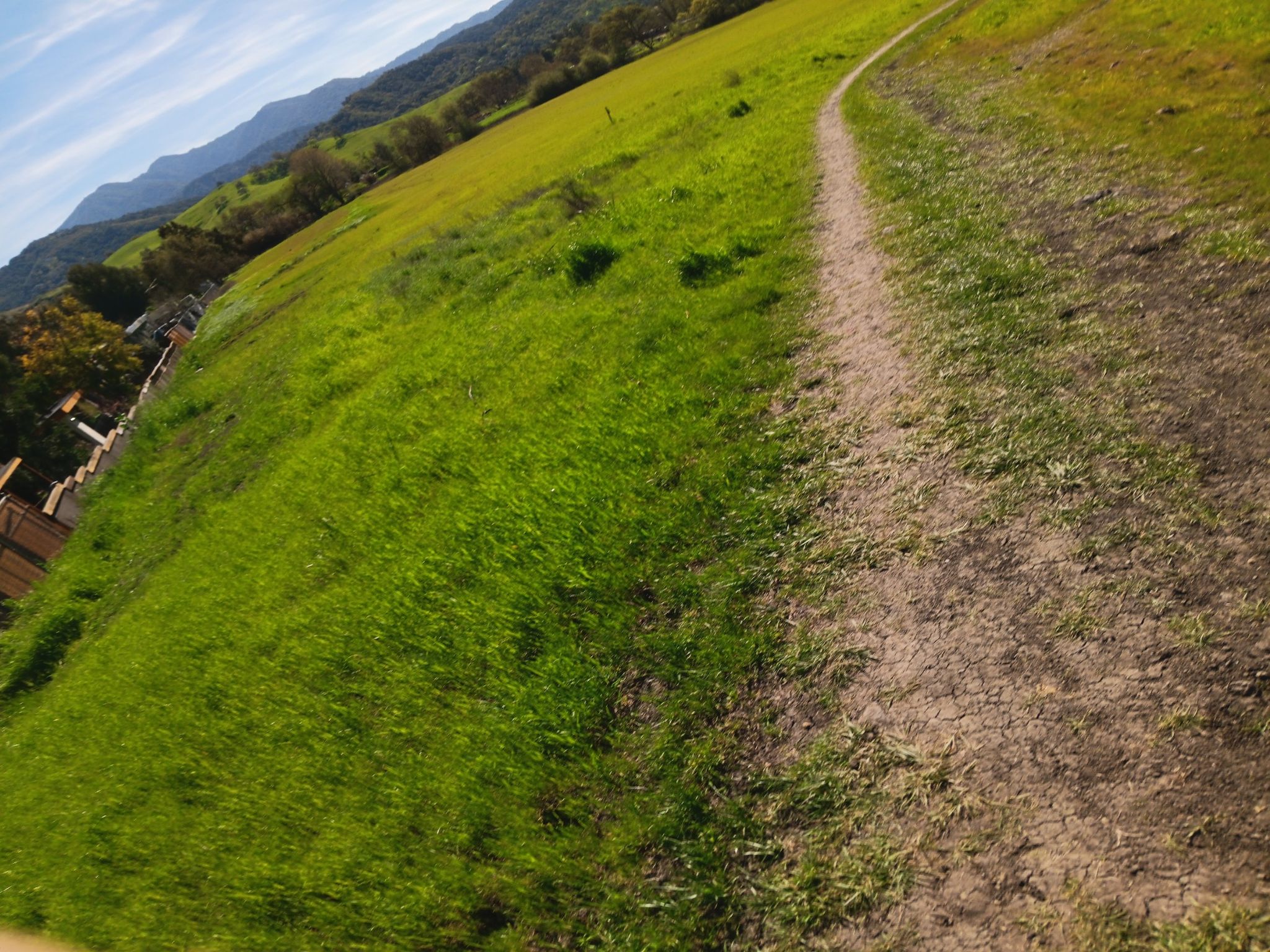 A winding dirt path through a vibrant green field towards distant mountains. - Alamitos Creek Trail – Santa Teresa County Park loop from Almaden Quicksilver County Park