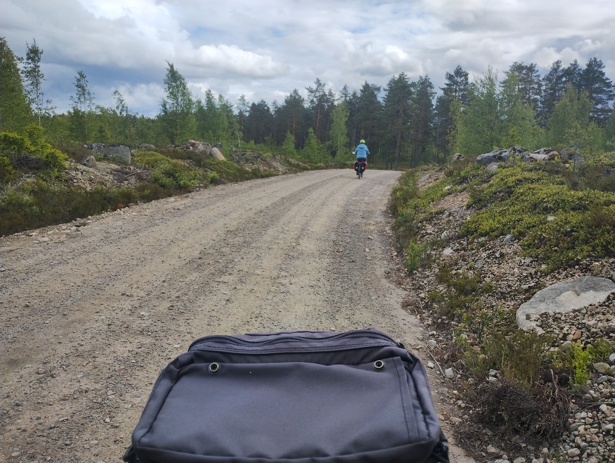 steinreich die Schweden