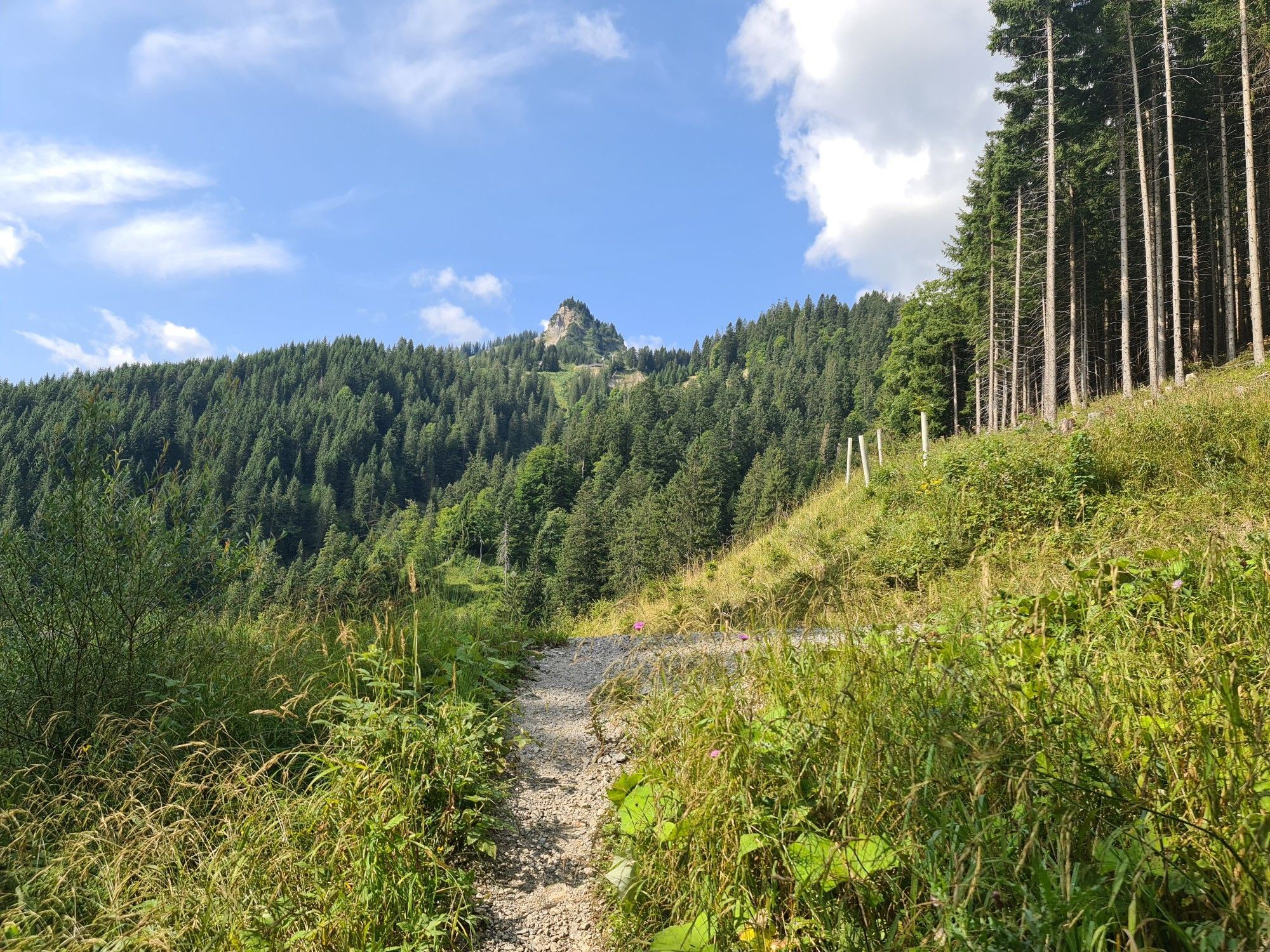 Blick auf Hahnenkammbahn