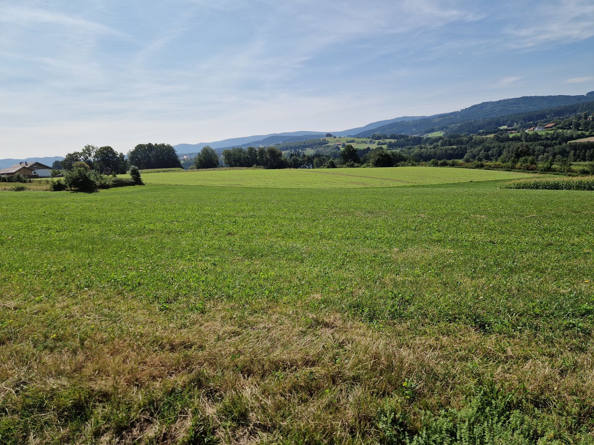 Blick Richtung Viechtach