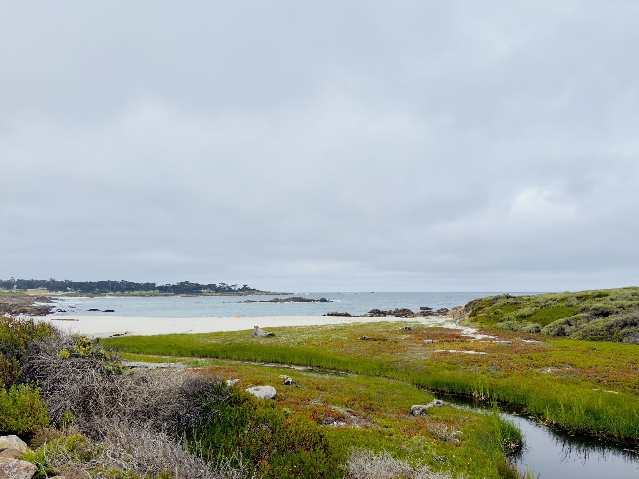 Overcast day over a sandy beach, green marsh, small stream, and calm ocean. - Monterey Bay Coastal Trail and 17-Mile Drive Loop