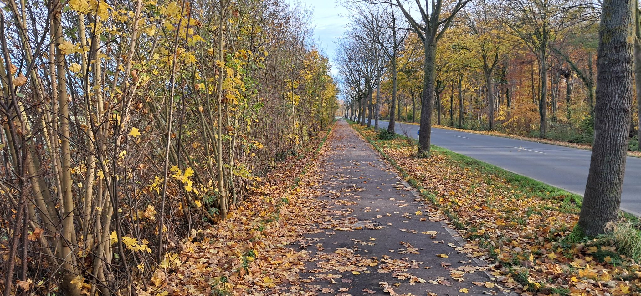 Ein kurzes Stück an der Hohenholterstraße entlang