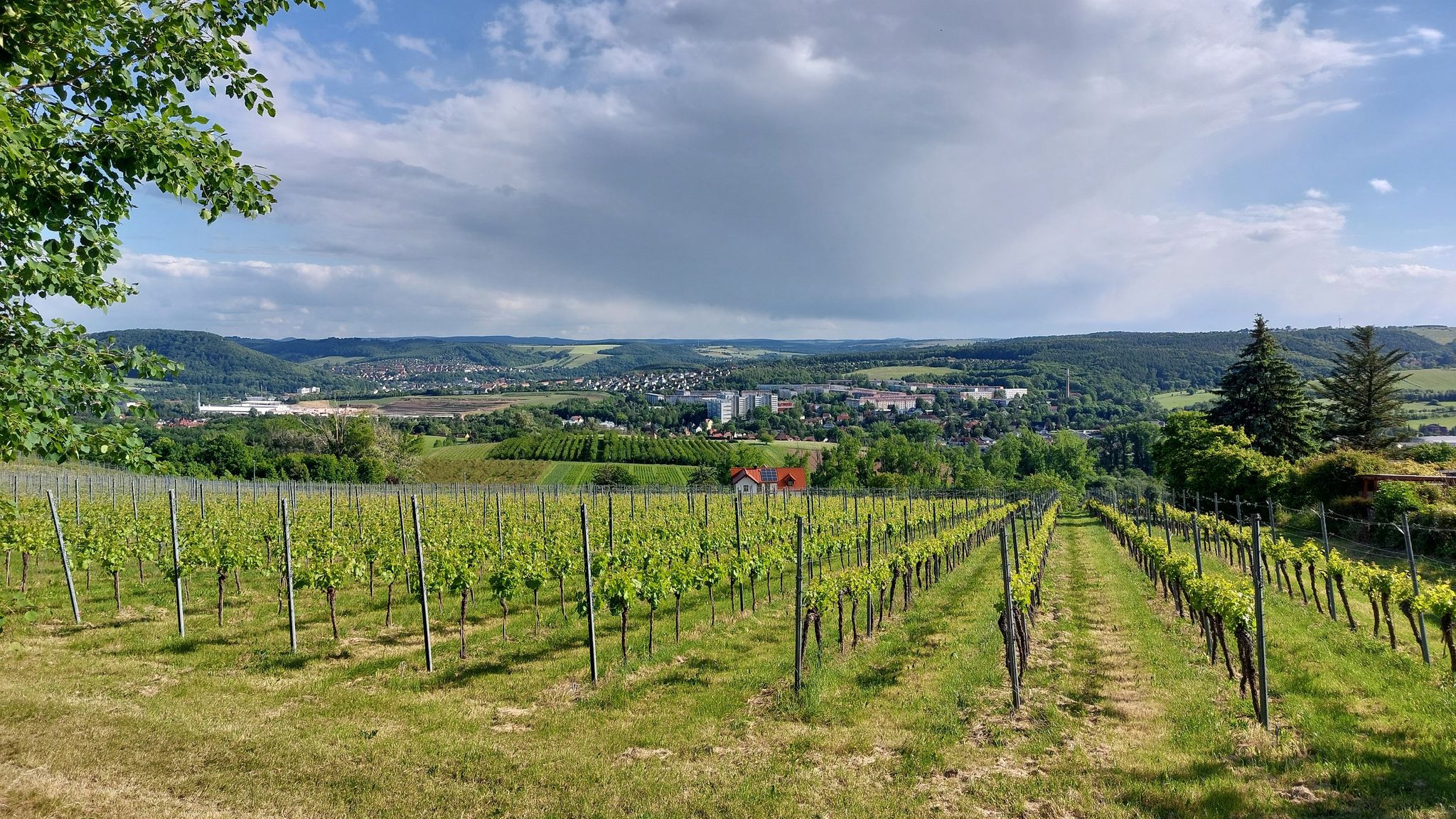 ist schon schön hier 🤩