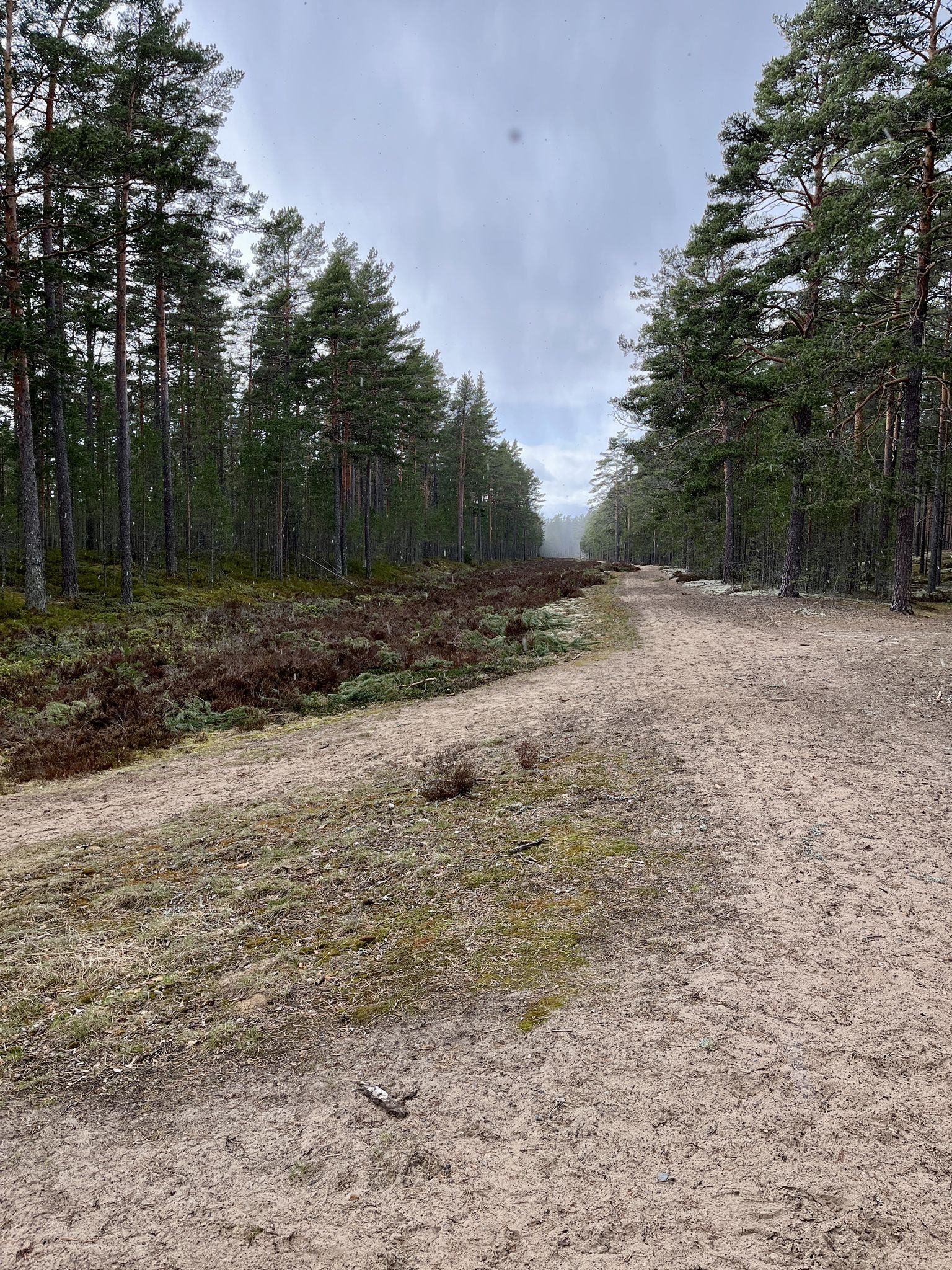 Hier verlief einst die Strasse zwischen Karlstad und Grums