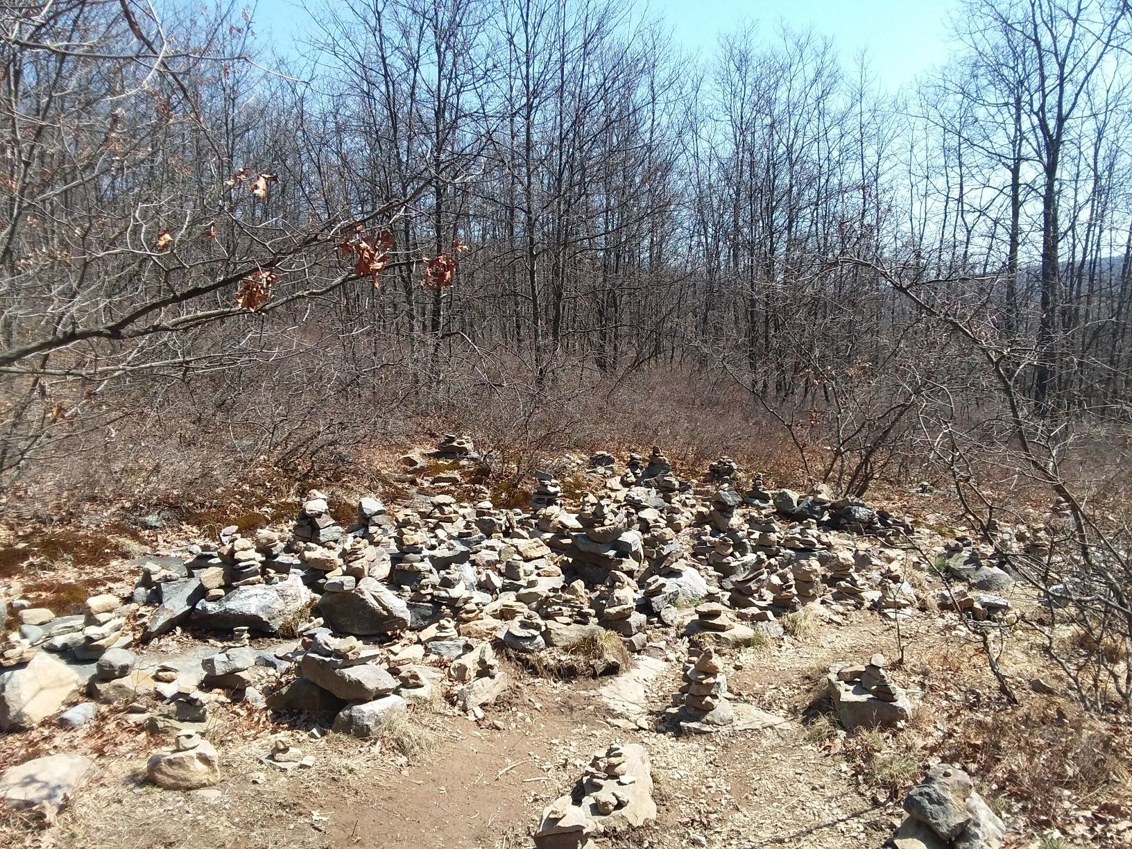 Numerous rock cairns on a dirt path in a sparse winter forest. - Sunfish Pond via Farview, Appalachian, and Dunnfield Creek Trails Loop