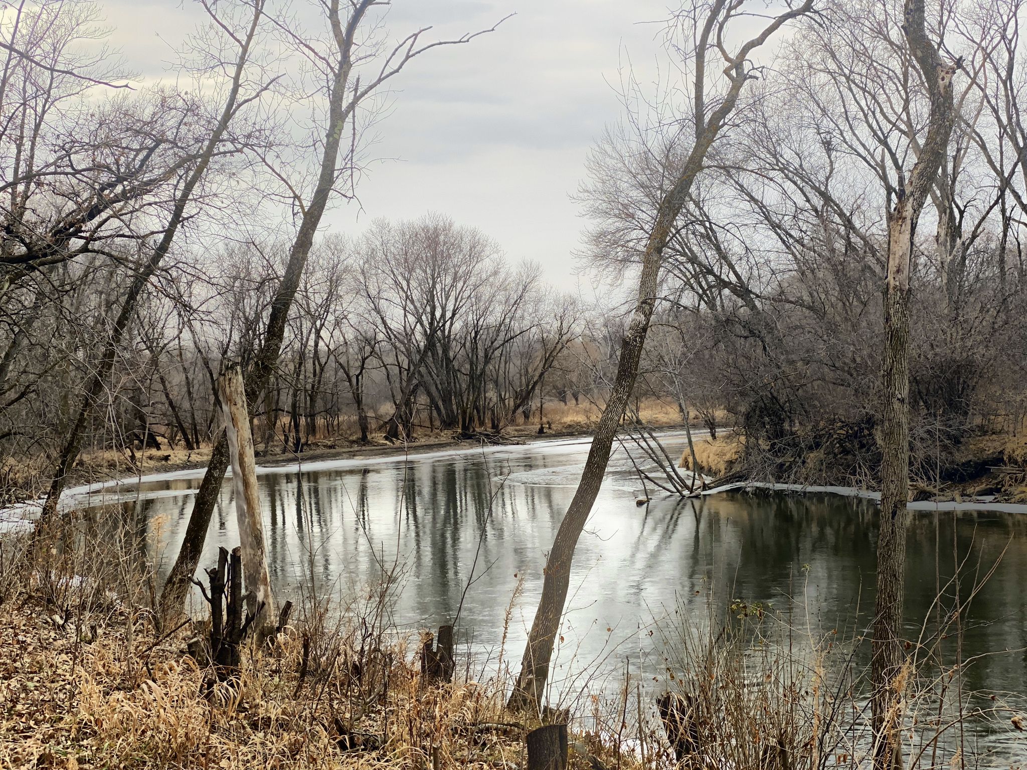 Partially frozen river with bare trees reflecting on the water under a cloudy sky. - Carleton Arboretum Trail loop from Northfield