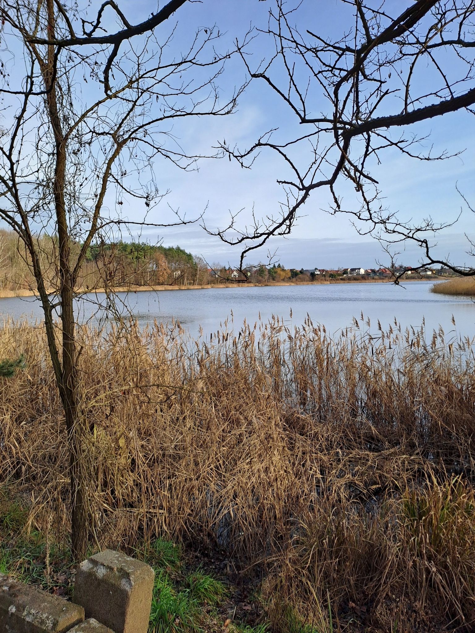 Ausblick