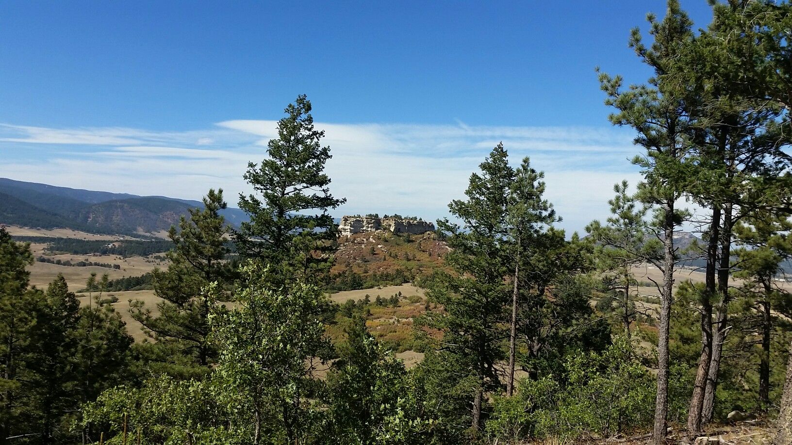Pine trees frame distant buildings on a sunny, forested hillside. - Spruce Mountain Trail Loop