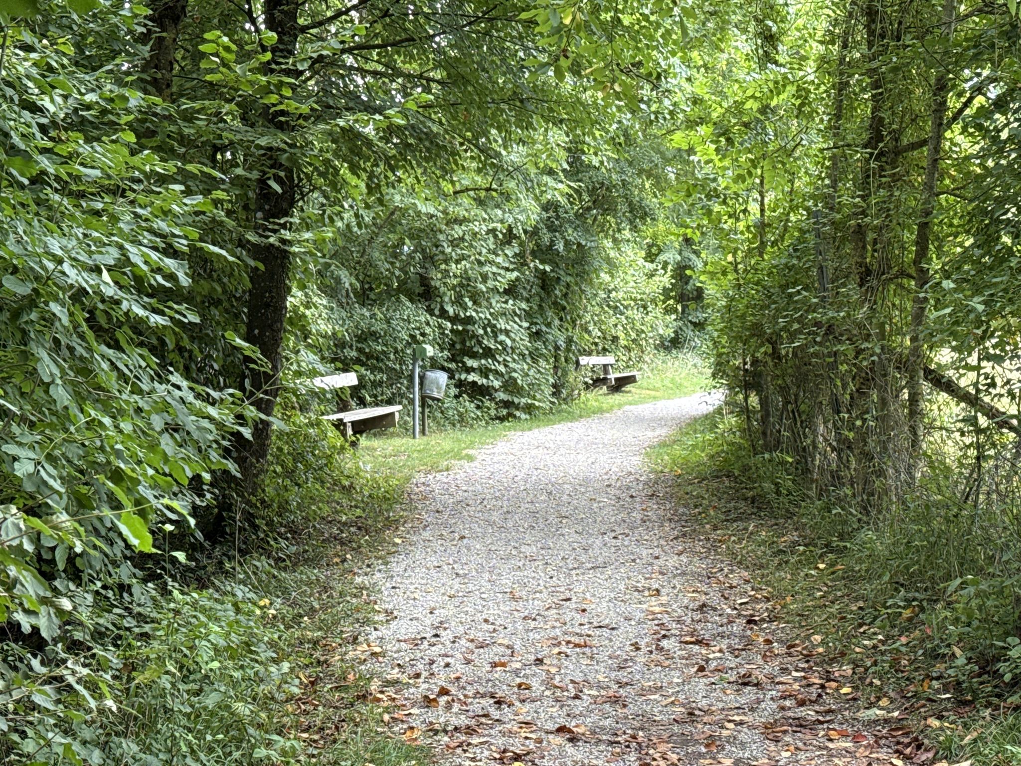 gemütliche Sitzbänke