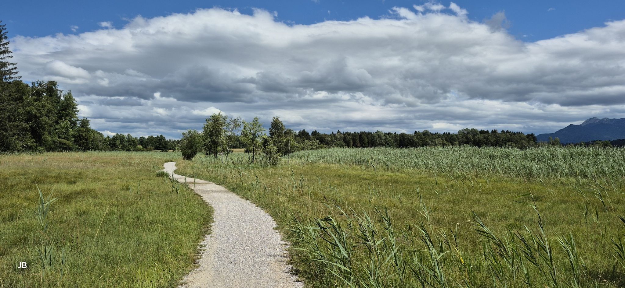 Unser Weg durch das Naturschutzgebiet