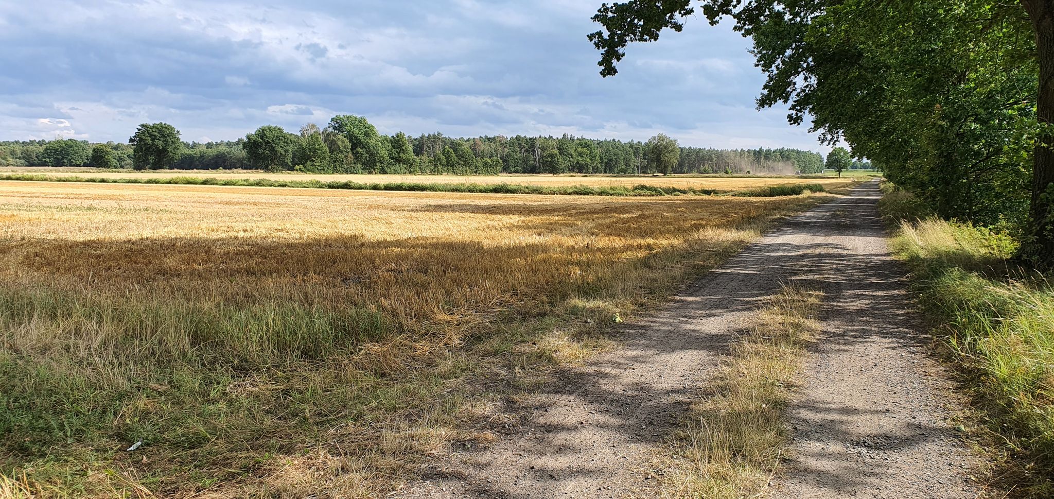vor Bergfeld