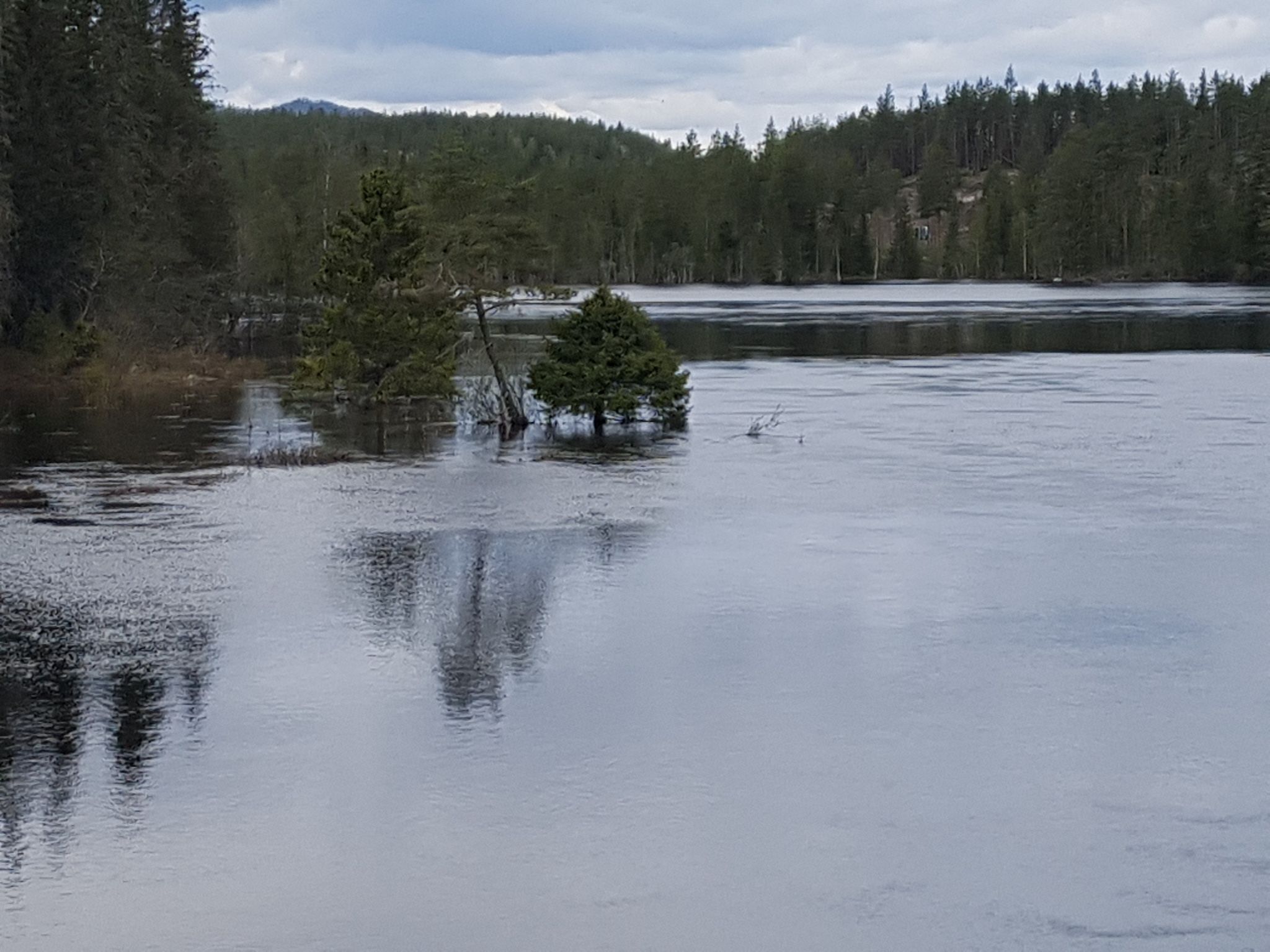 hier ist noch Hochwasser