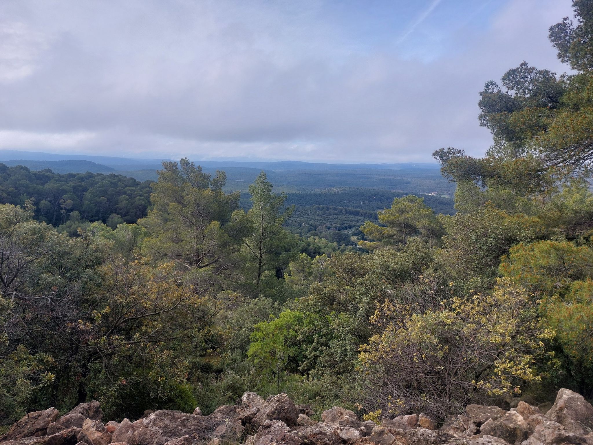 Panorama