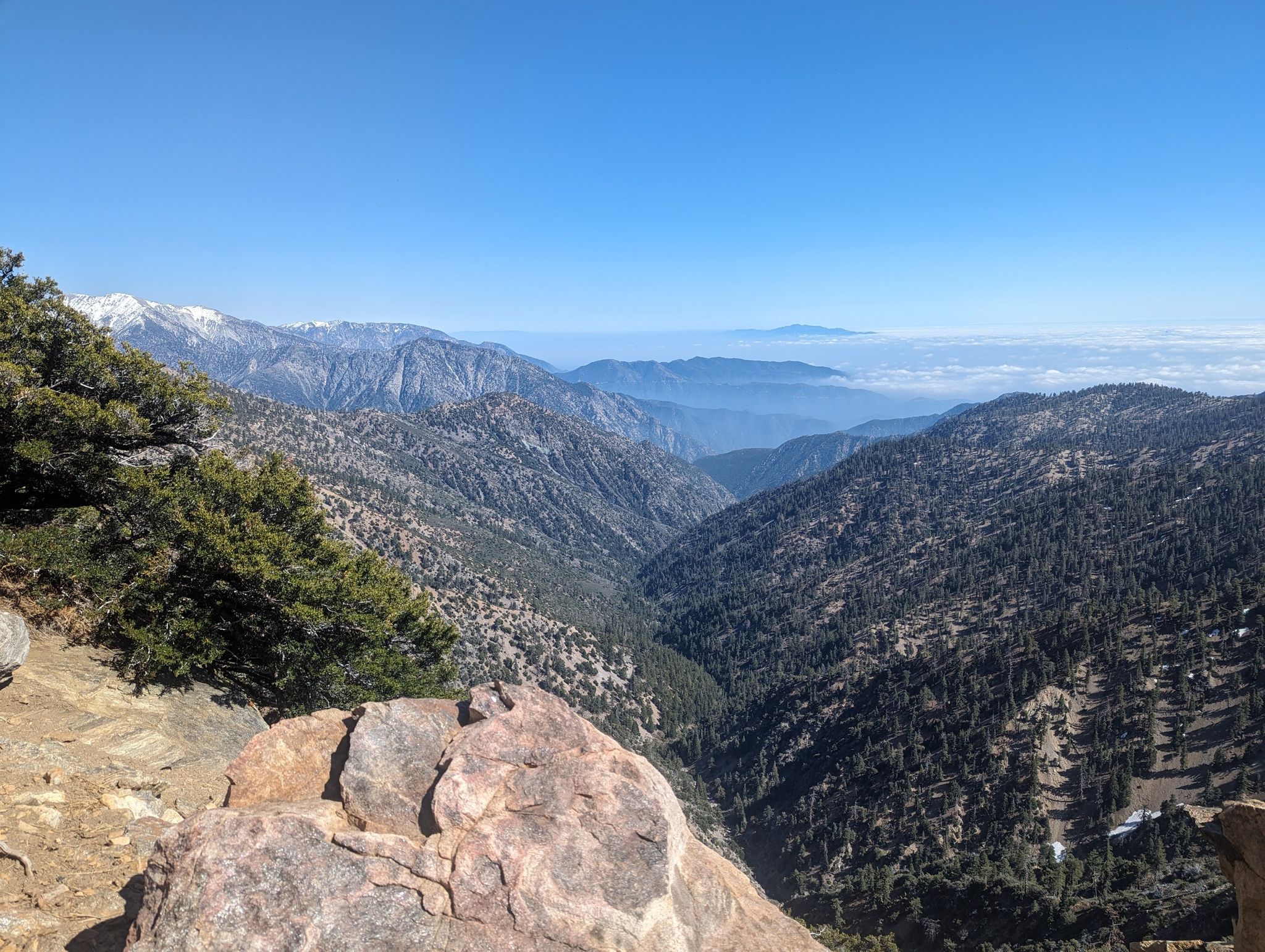 Sunny view of a deep, forested mountain valley with distant peaks. - Mount Baden-Powell from Dawson Saddle