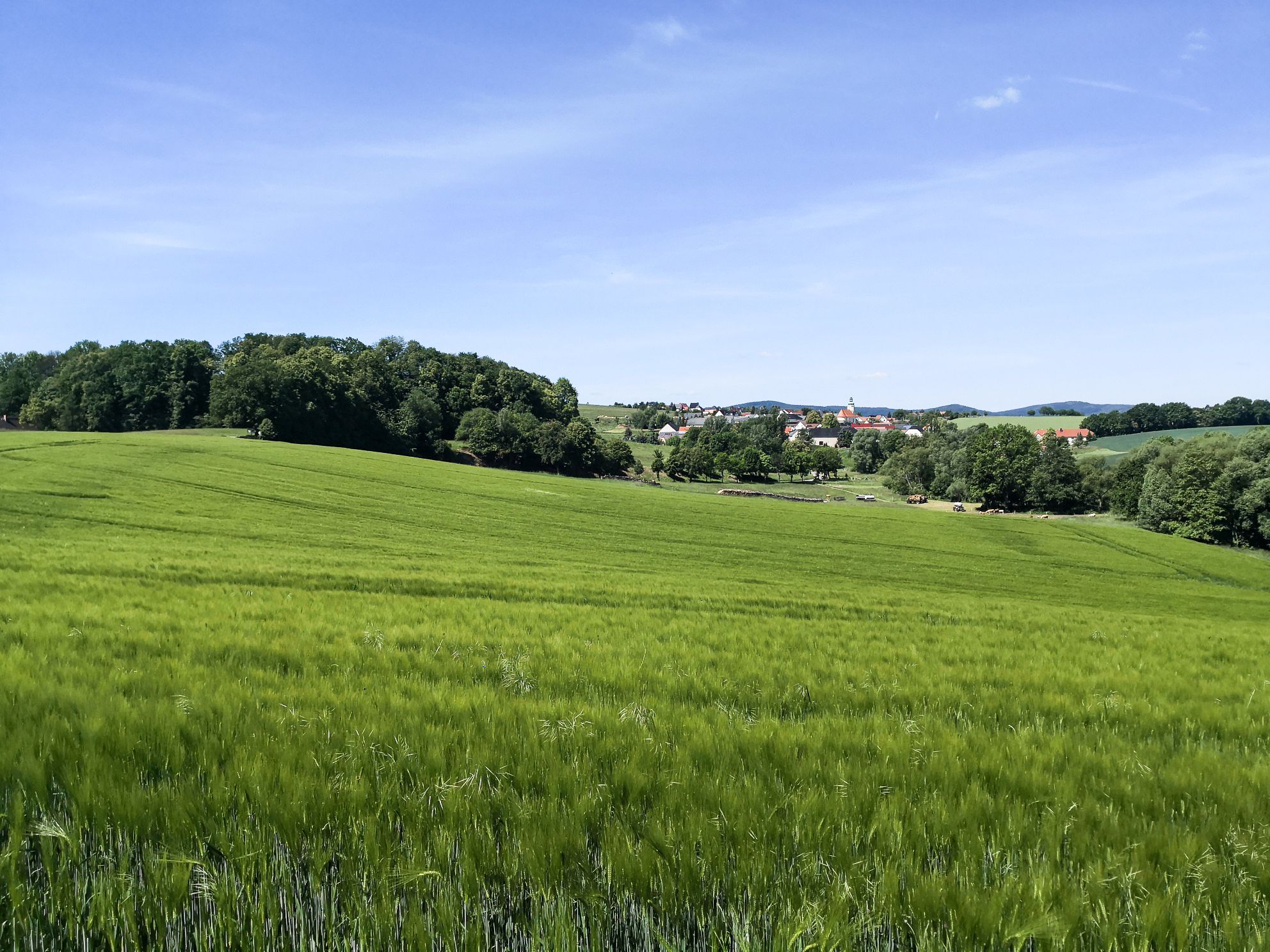Ostro