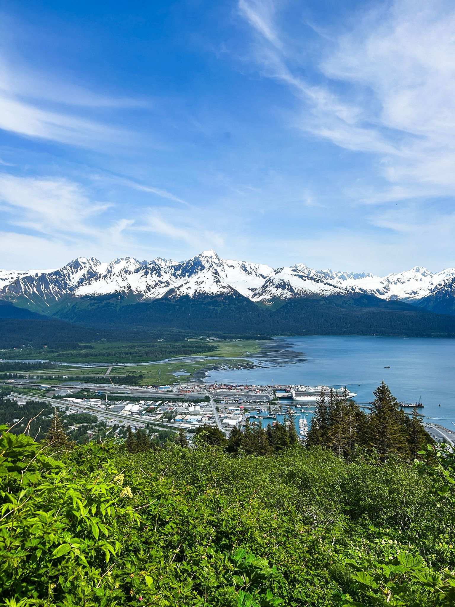 Overhead view of a harbor, snowy mountains, and green landscape under blue sky. - Mount Marathon and Skyline Trail Loop
