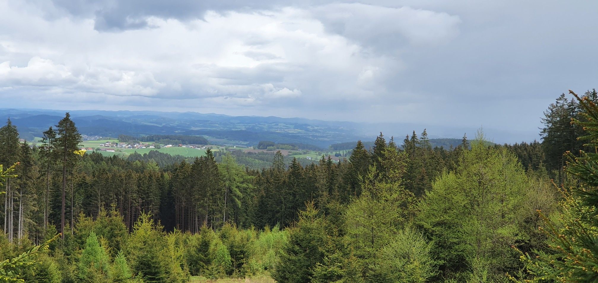 feiner Blick