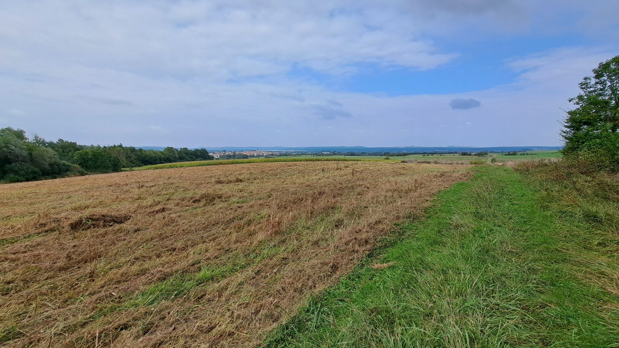 Vue sur Barbonville depuis le Haut de la Reine.