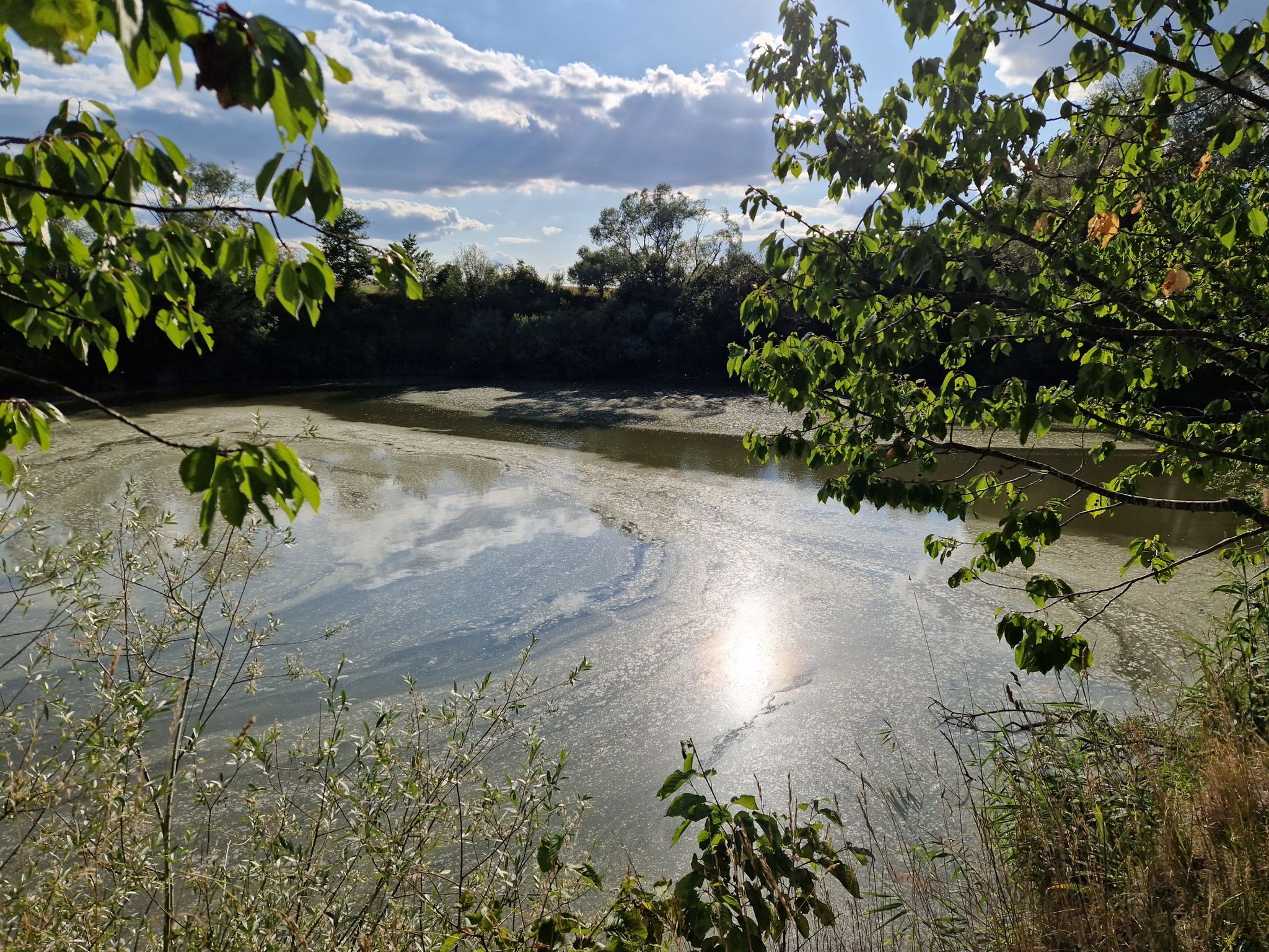 Schieferseen Balingen