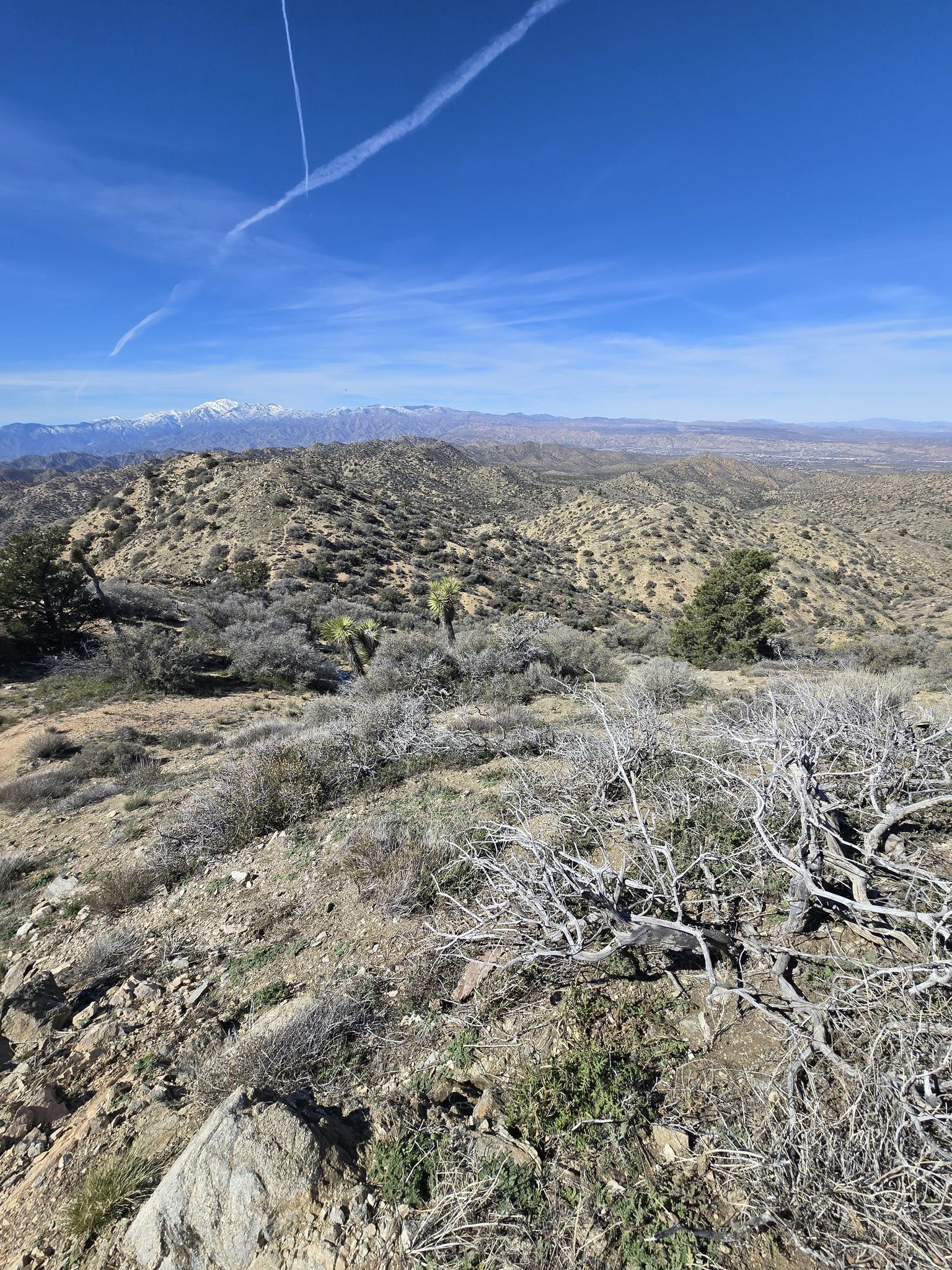 Expansive desert vista with hills, sparse vegetation, and a contrail in the blue sky. - Eureka Peak and Burnt Hill Loop