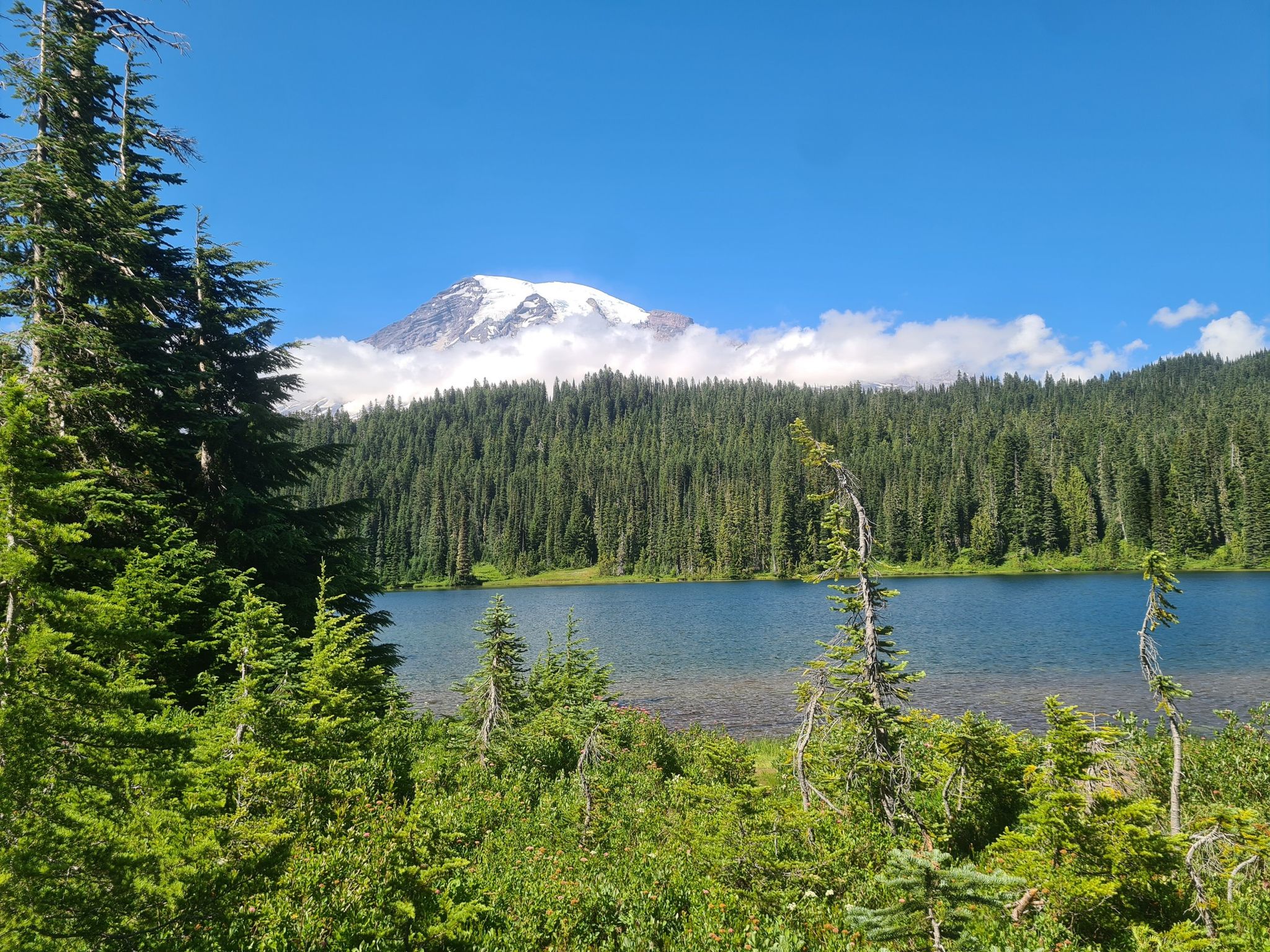 Lake with green trees, dense forest, and a snow-capped mountain partially in clouds. - Narada Falls – Subalpine Wildflower Meadows loop from Cougar Rock Ranger Station