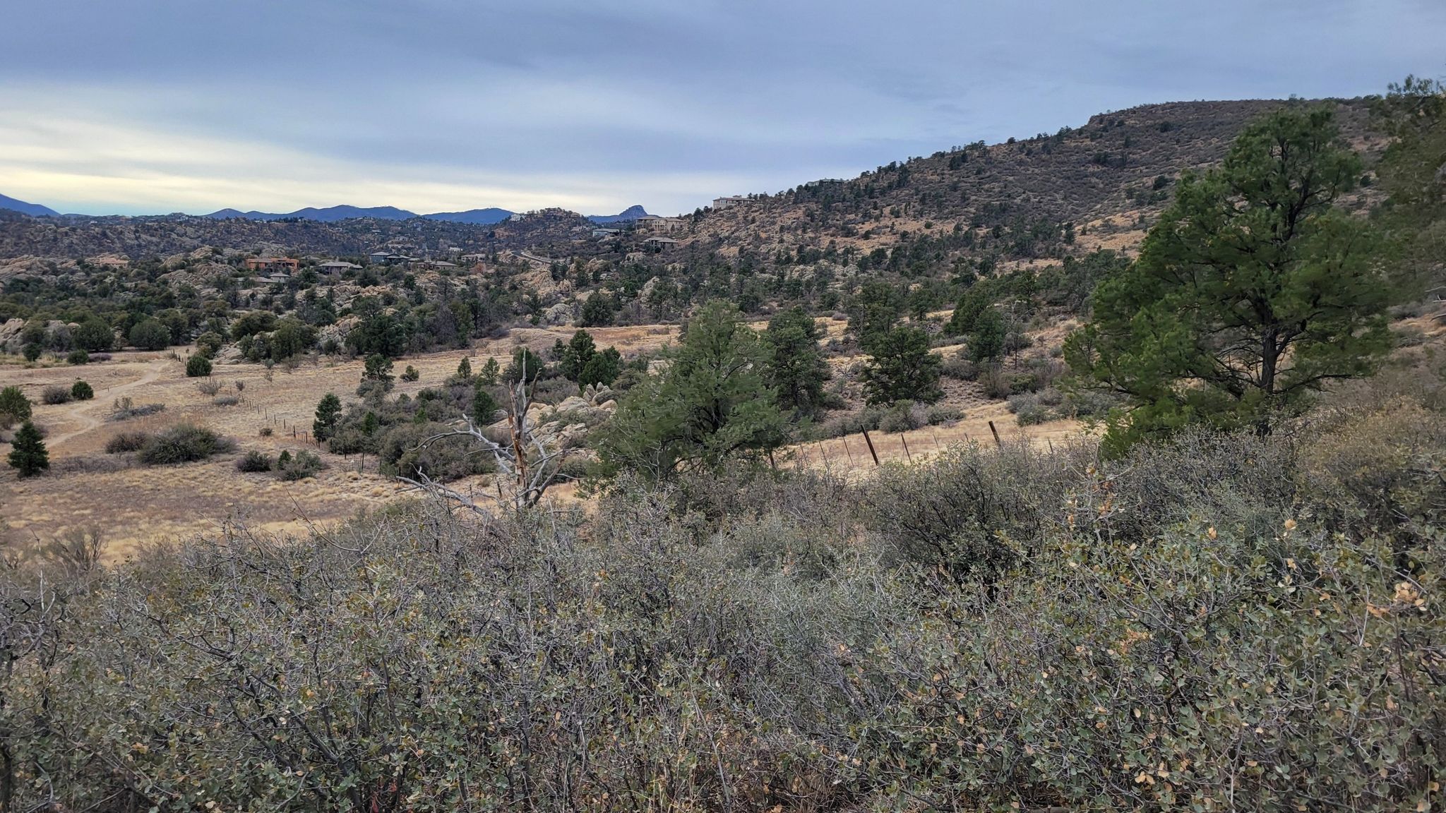 Hilly, dry landscape with scattered trees under an overcast sky. - Pioneer Park Loop