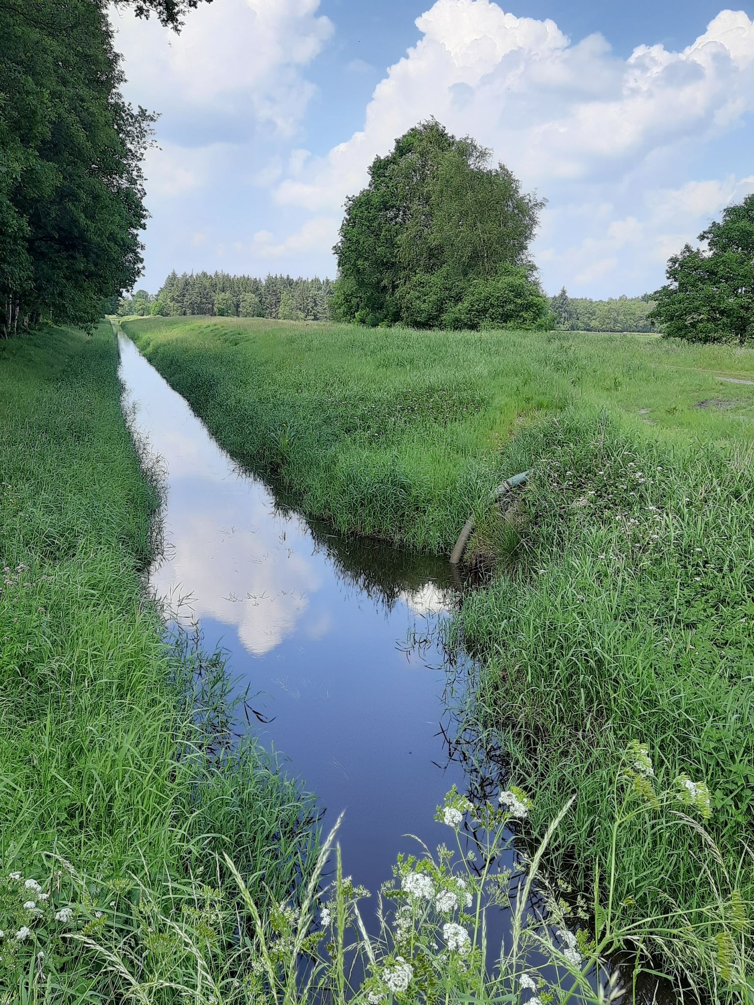 Kanal