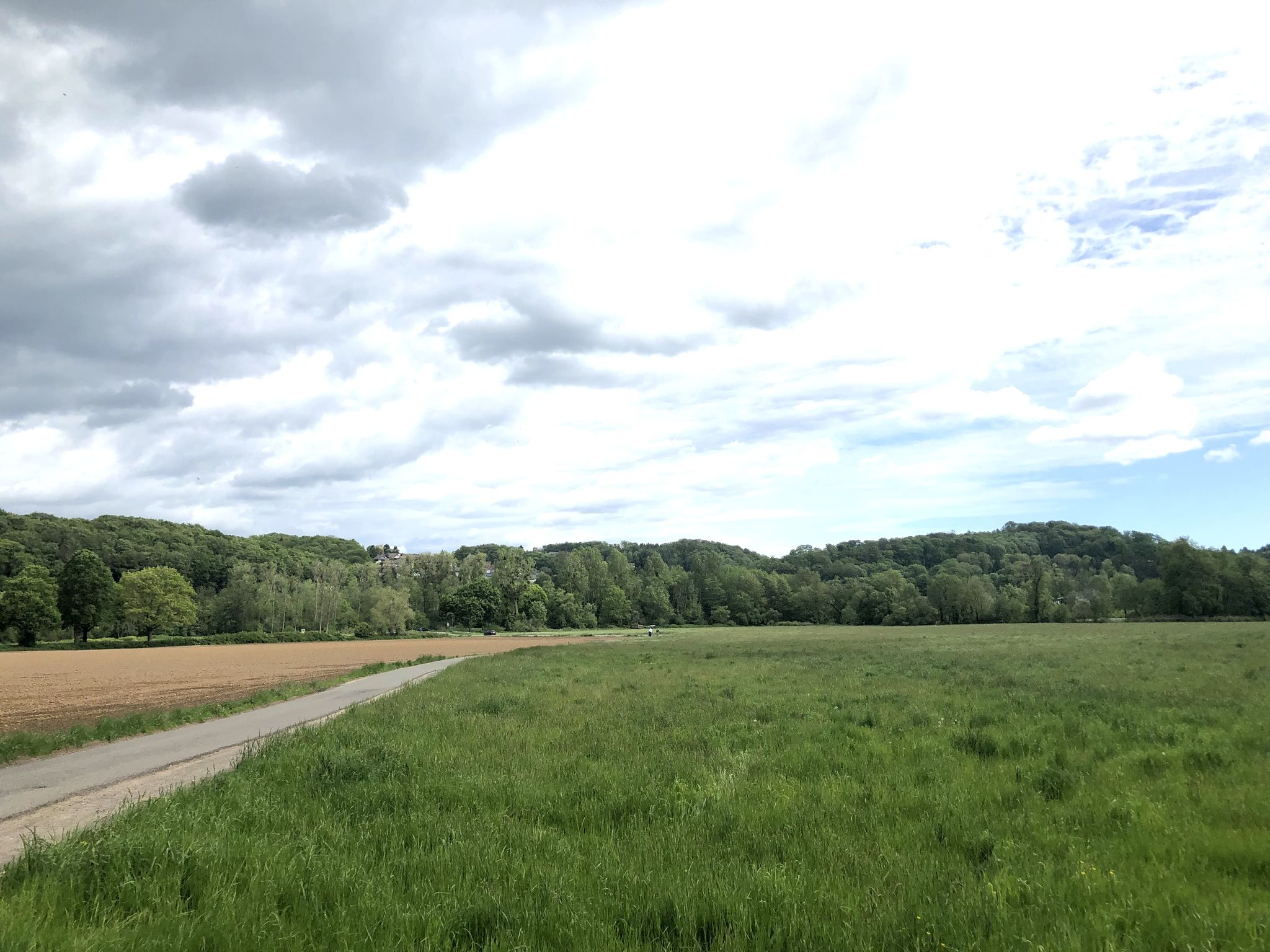 Blick Richtung Osenau