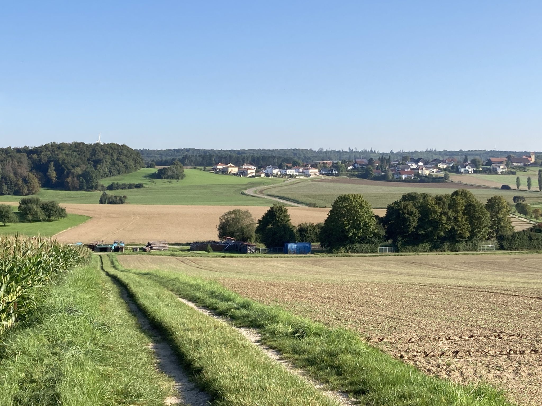 Blick auf Dunsdorf