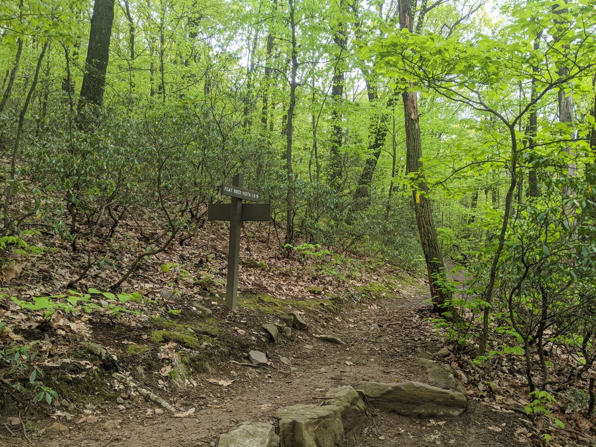 A wooden trail signpost stands beside a dirt path in a green forest. - Flat Rock Trail