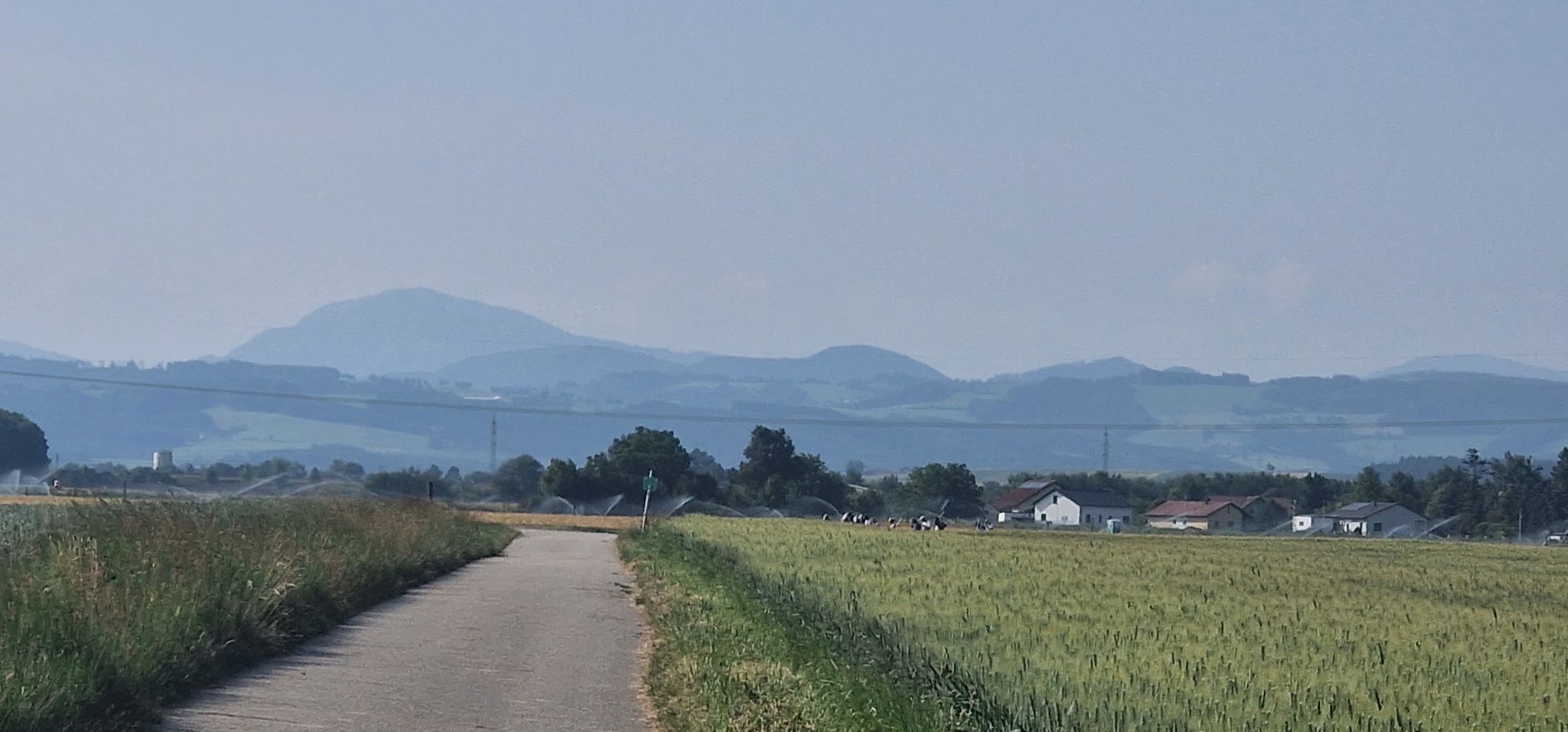 Bei klarem Wetter Ötscherblick, viele Erntehelfer