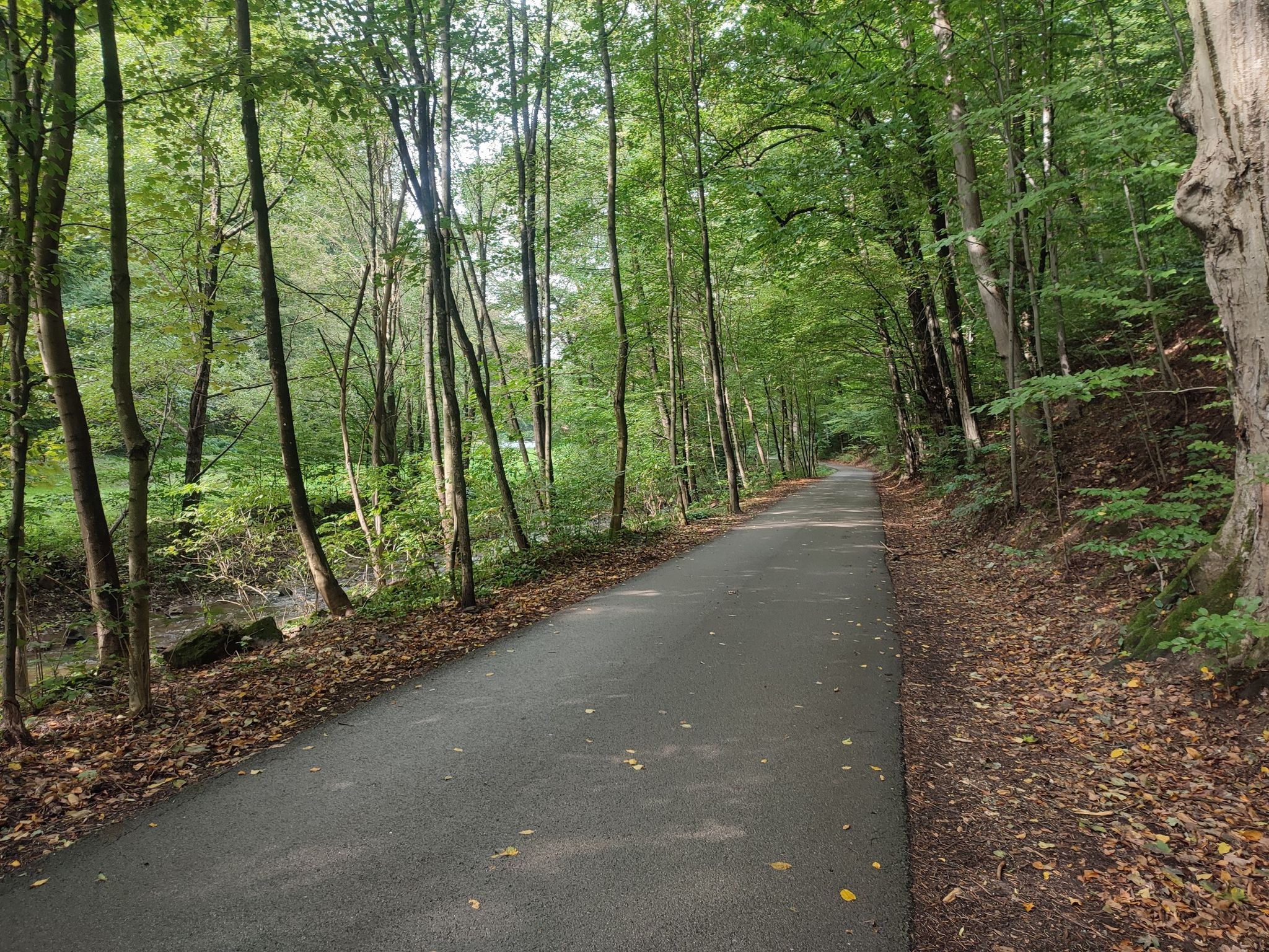 schöner Radweg