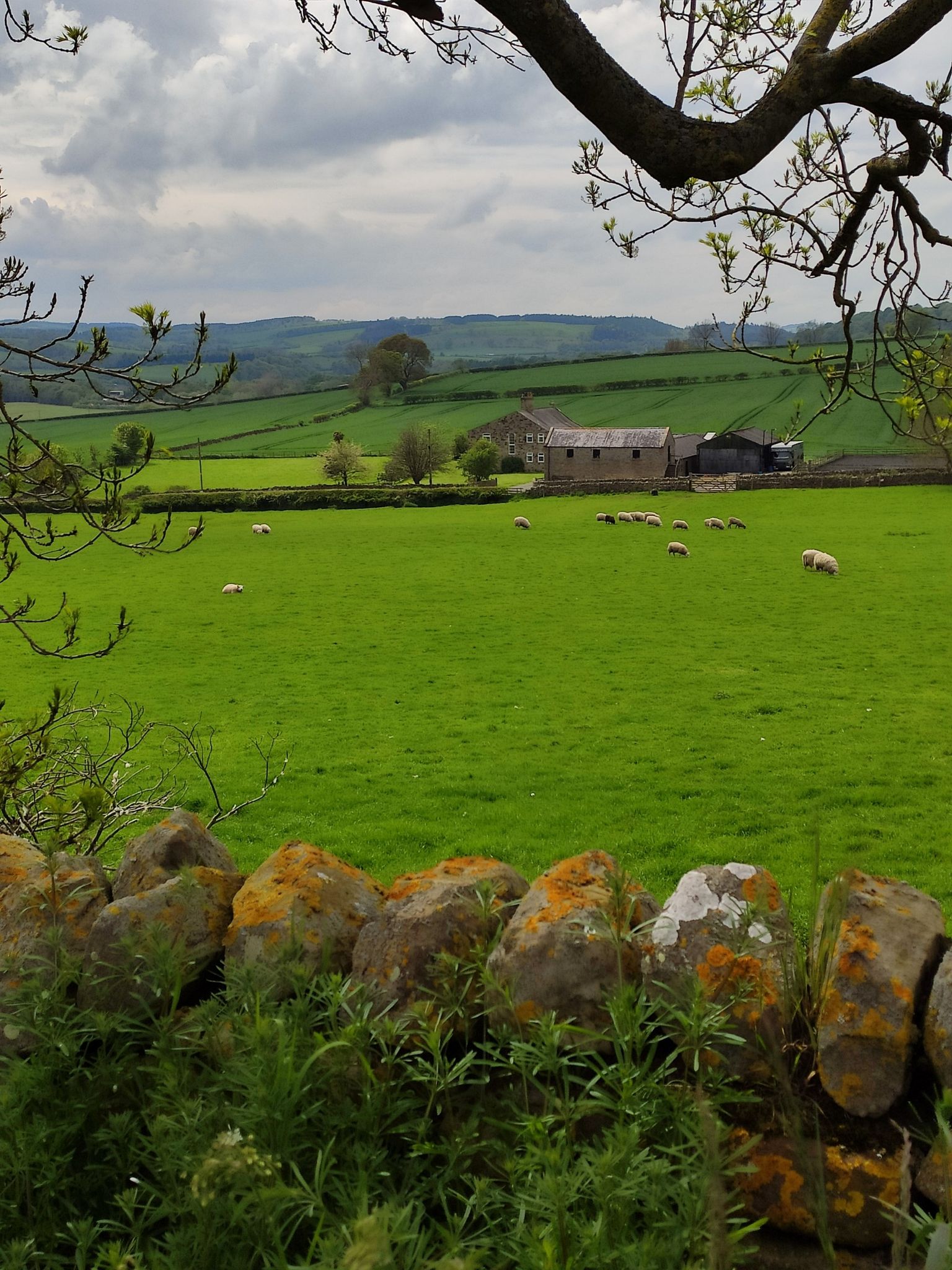 Scenic shot near Acomb