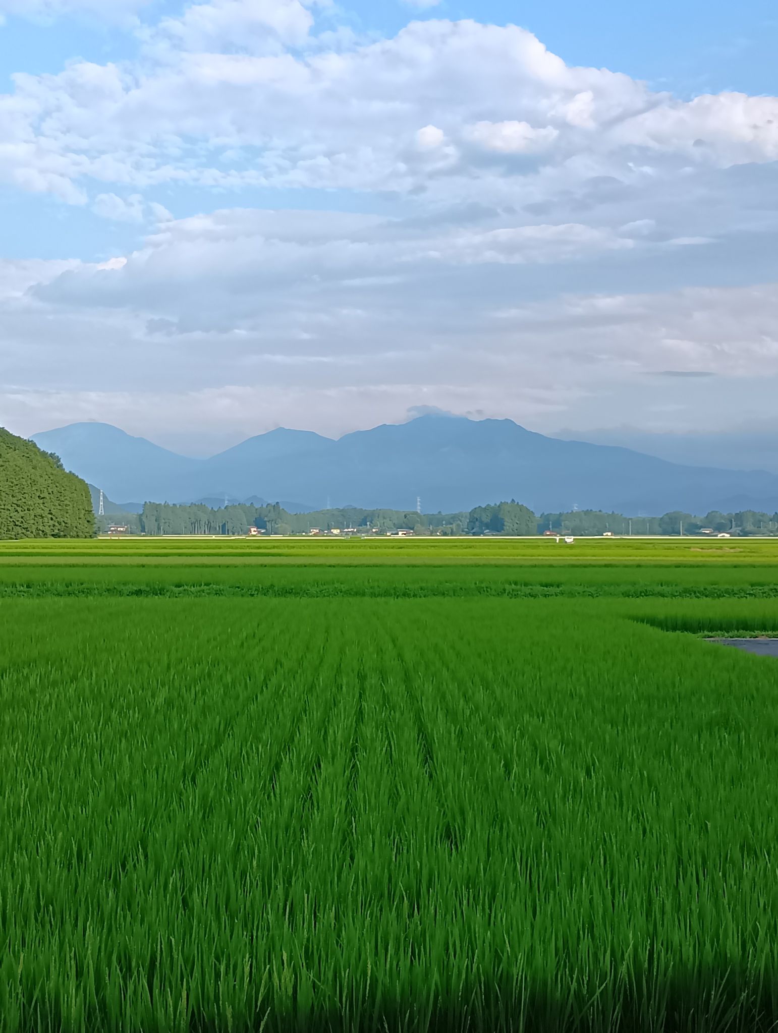 日光連山