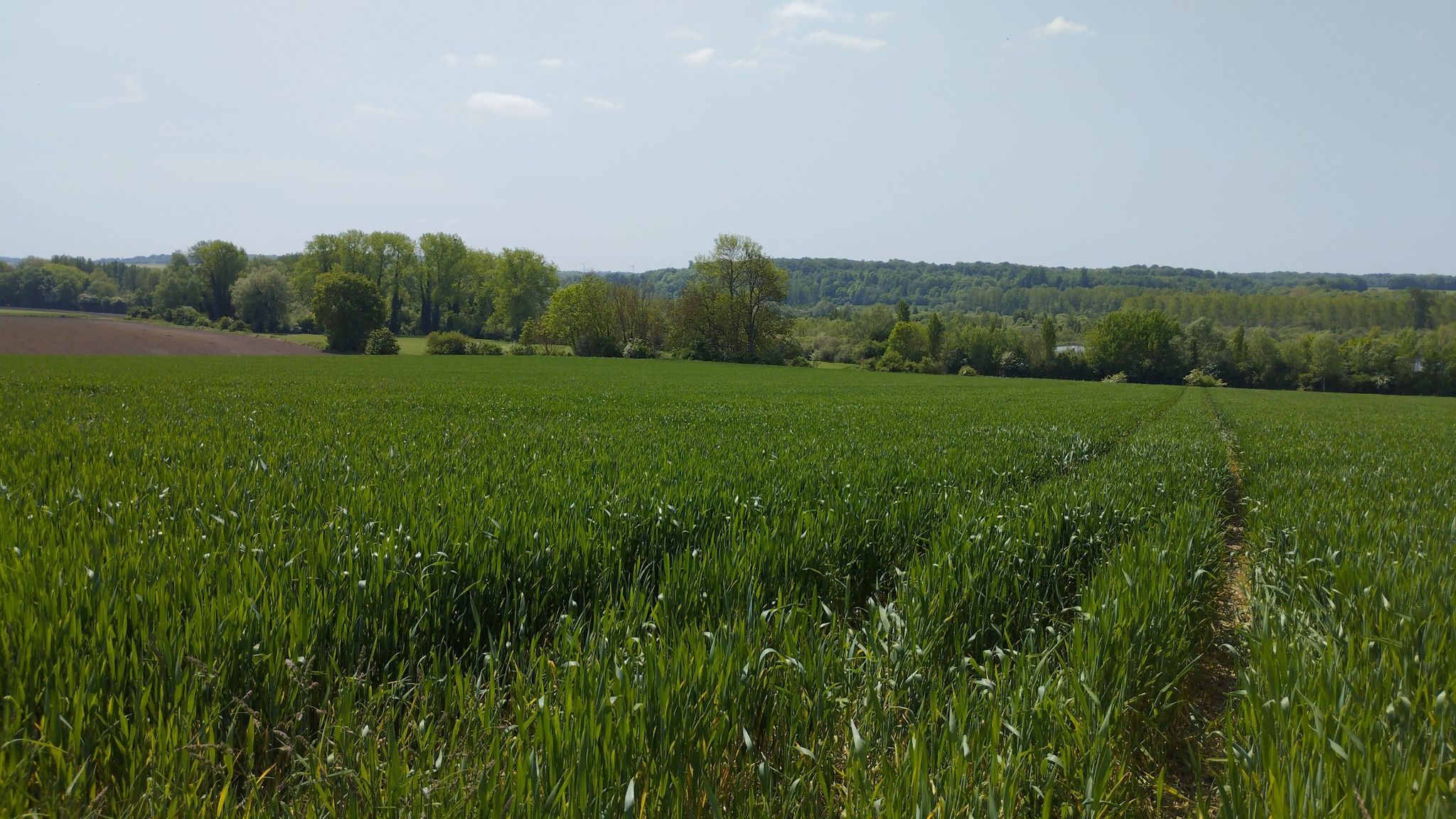 Vallée de la Somme