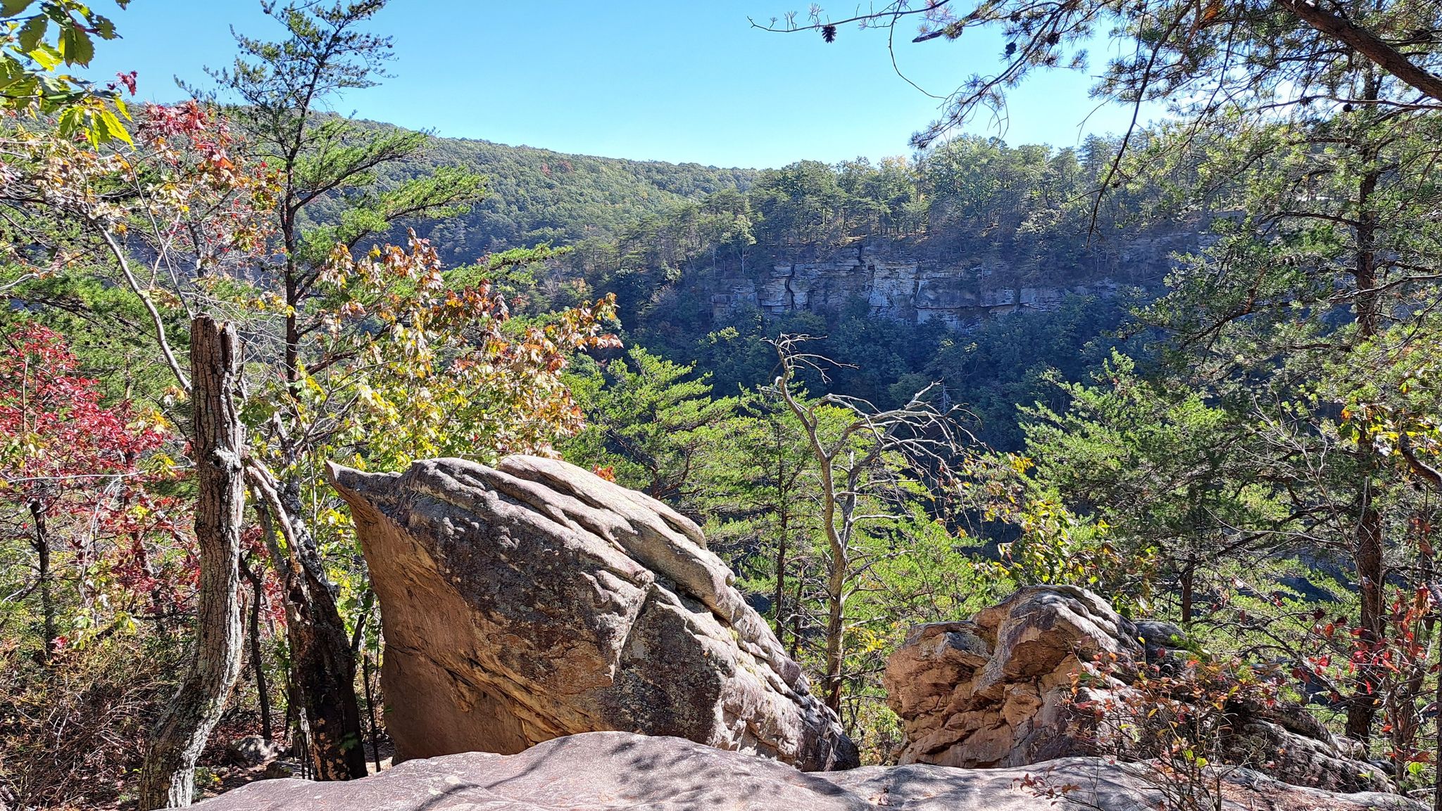 Rocky outcrop overlooking a forested valley with autumn colors under clear skies. - West Rim Loop and Waterfalls Trail
