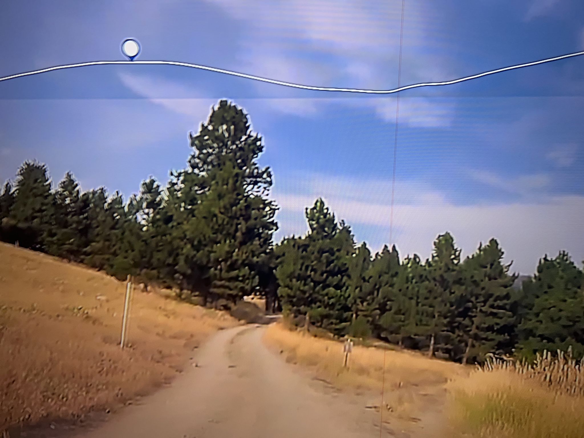 Curving dirt road uphill, surrounded by dry grass and tall pine trees. - Kim Williams Trail – Clark Fork River loop from Missoula