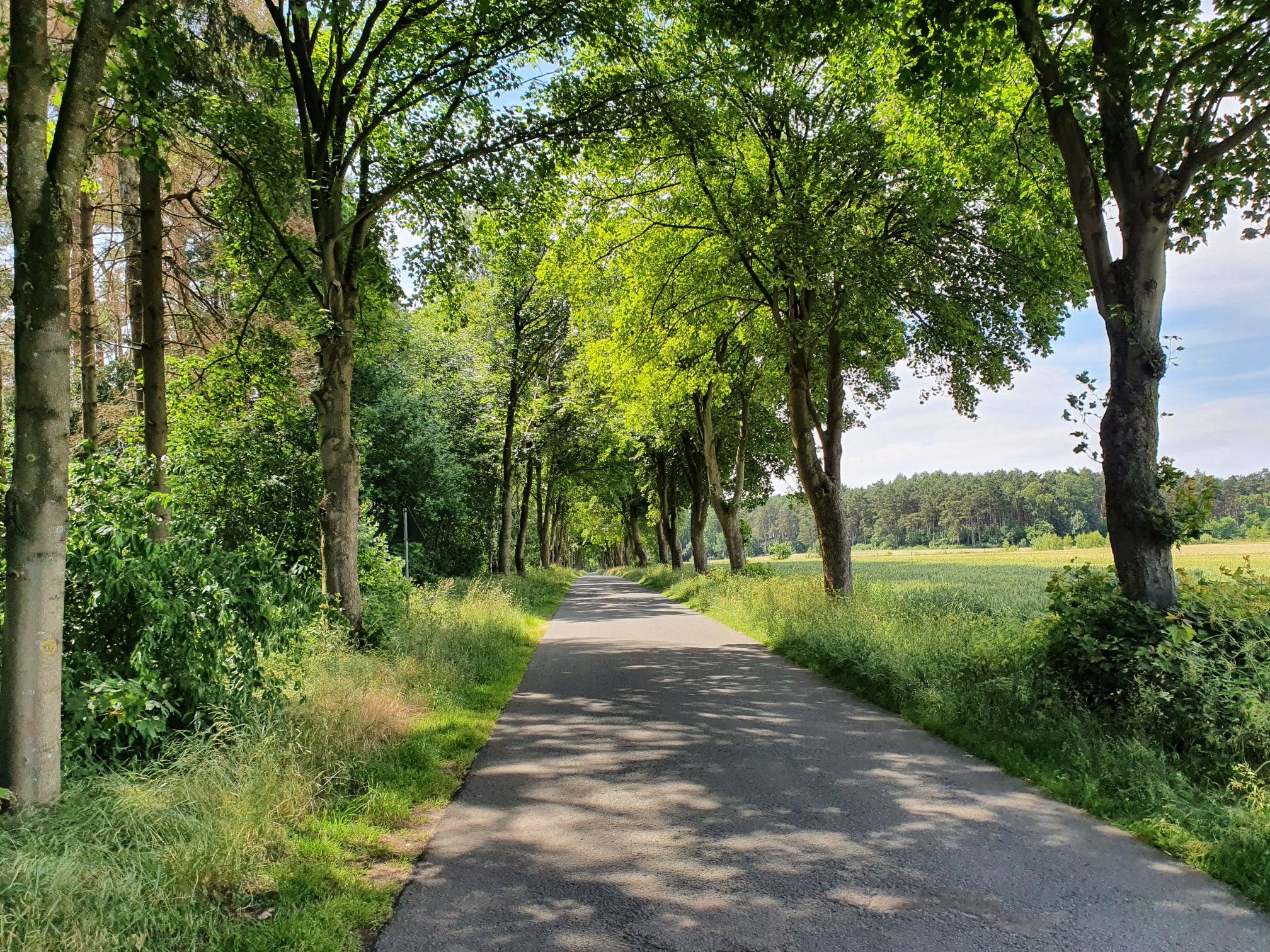 Strasse