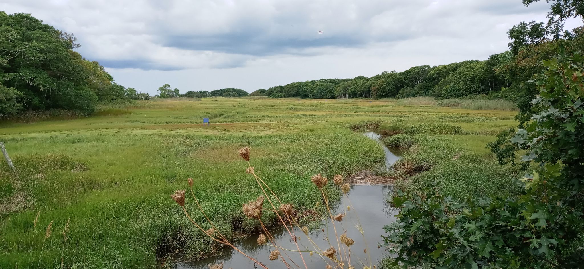 A small stream winds through a vast green marshland under a cloudy sky. - Ocean viewpoint – White Crest Beach loop from Wellfleet