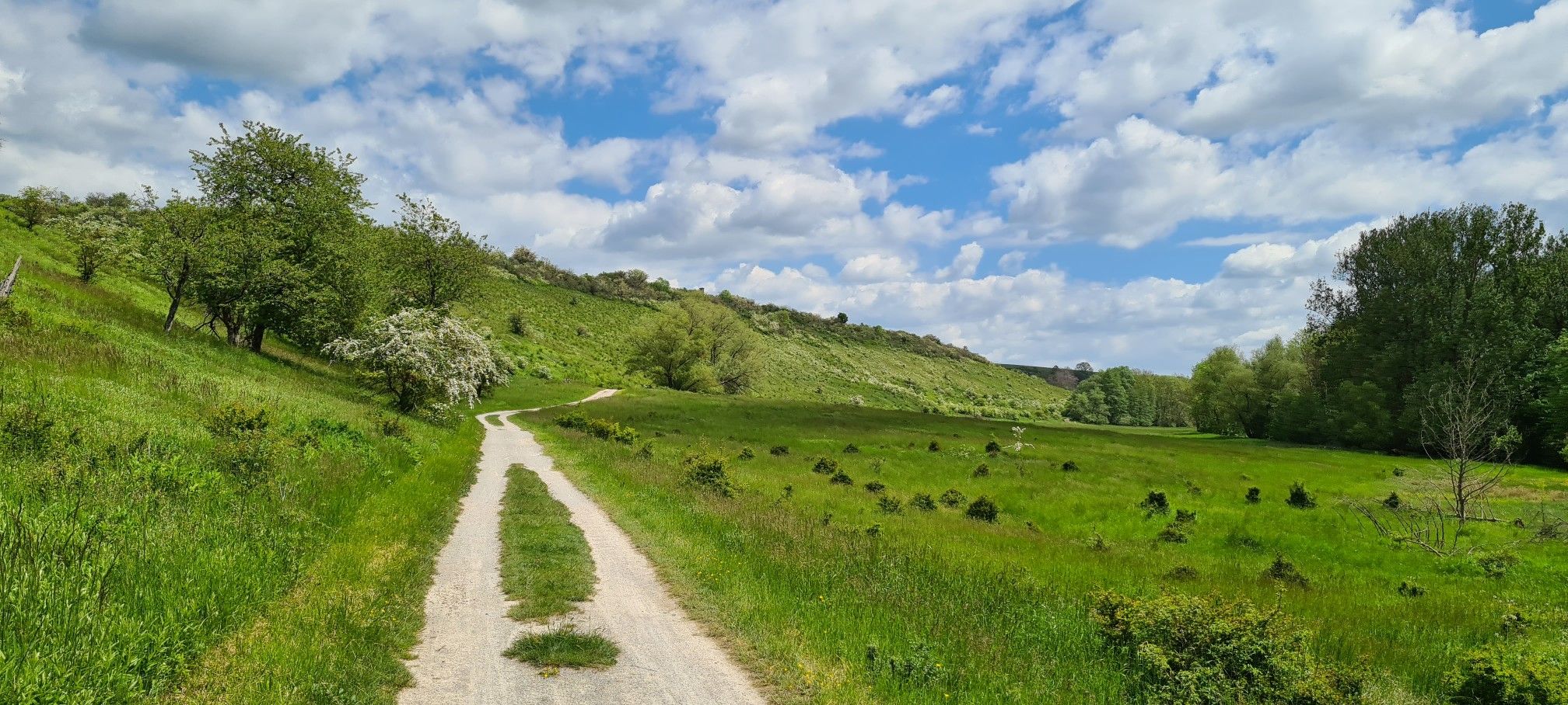 gut gestärkt geht es zurück, leider wird der Rückweg etwas länger werden...