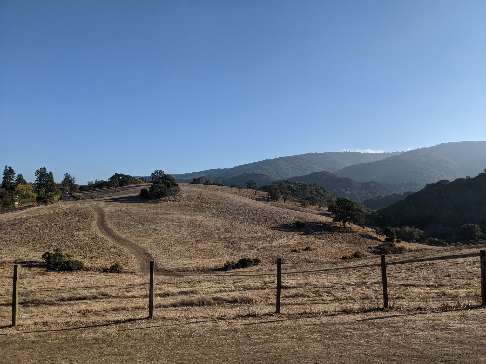 Sunny view of dry rolling hills with a dirt path and fence. - Adobe Creek – Elena Road Viewpoint loop from Los Altos Hills