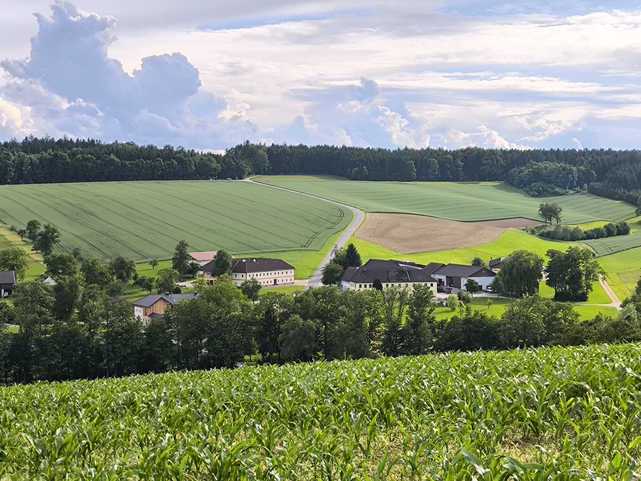 Rückblick auf Krottendorf