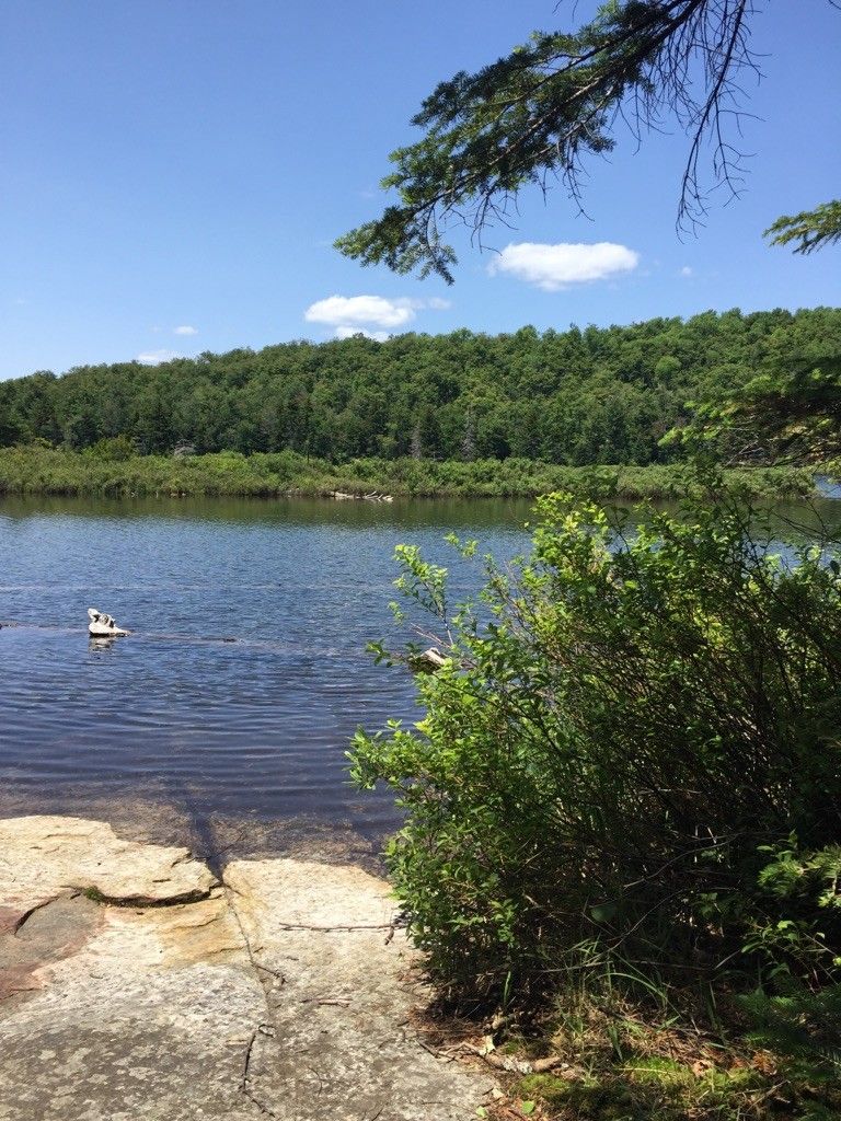 Peak Pond