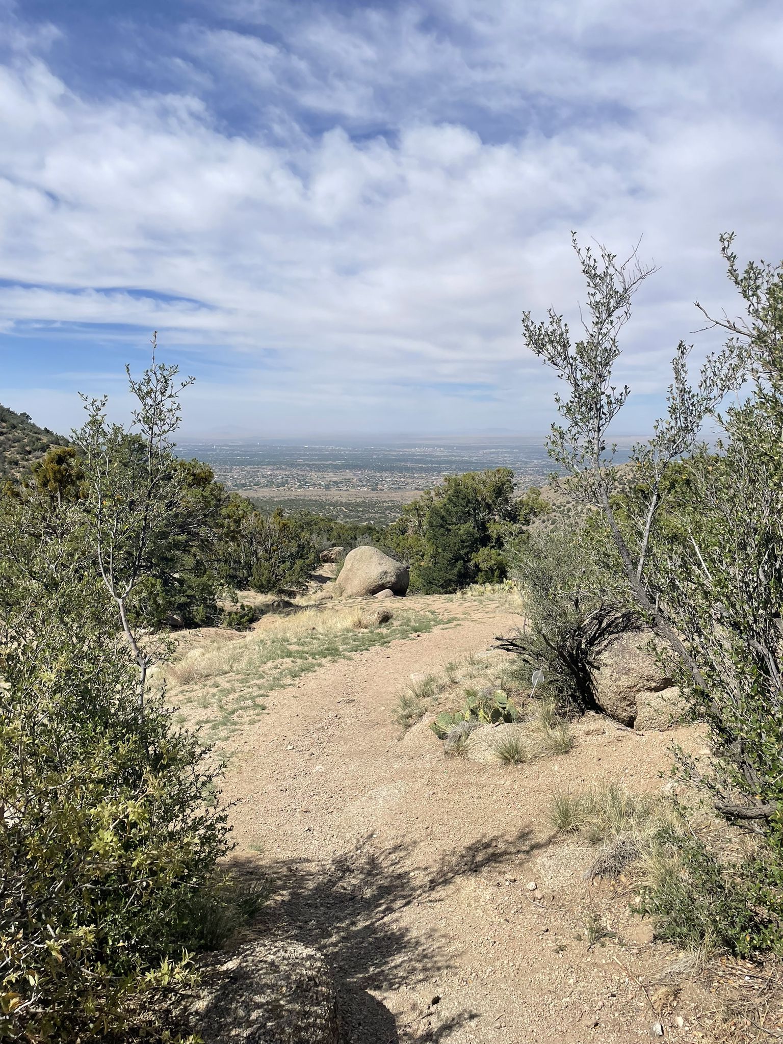 A dirt path leads through sparse trees towards a distant valley. - La Luz Trail #137 and Tramway Trail Loop